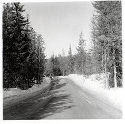 Vegen Høljarast - Blåflat