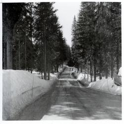 Vegen Høljarast - Blåflat
