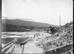 Otto Mejlænders fotosamling, Trysil, Hedmark