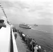 M/S Sassnitz och Drottning Viktoria. Tågfärjeleden Trelleborg - Sassnitz 50 år