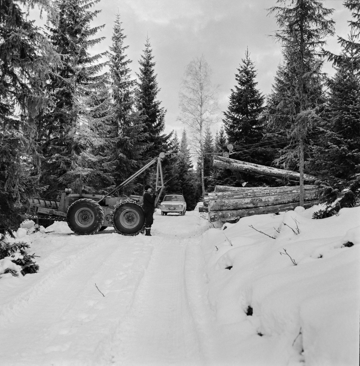 Skogstraktor med vinsj, fotografert i Folke Flodens skog i Strandbygda i nordre Elverum. Traktoren skal være en såkalt «County Four-Drive», en bulldoserliknende maskin på hjul.  Da dette fotografiet ble tatt sto den vinkelrett på en snødekt skogsbilveg.  Maskinen var utstyrt med en totromlet vinsj med stålkabel, som er strukket mellom et «tårn» i enden av traktoren og et tre på hogstfeltet.  Trekklina går fra trekktrommelen via en styreblokk på vinsjtårnet gjennom løpekattens vinkelblokk og ender i ei snurpeline med stropper.  Returlina går fra returtrommelen via en styreblokk på tårnet, og gjennom en løfteblokk i løpekatten.  Derfra føres den over en endeblokk i et endetre og tilbake til løpekatten, hvor den er forankret.  Det var viktig at banens ytterpunkter ligger høyt i forhold til det hogstfeltet tømmeret skulle hentes fra.  Trekklina kjøres ut på hogstfeltet med sine stropper via returlina.  En skogsarbeider trekker stropper de stokkene som skal hentes fram til bilveg (ikke med på dette fotografiet), mens maskinføreren (på bildet) vinsjer det inn mot bilveg, hvor tømmeret samles i påvente av henting med lastebil.  Da dette fotografiet ble tatt sto det en Ford Cortina på vegen bak den rammestyrte traktoren. 

«County Four-Drive» ble karakterisert som en såkalt «skid-steer».  Denne maskintypen ble aldri særlig vanlig i norsk skogbruk.  Her var det i stedet rammestyrte modeller som etter hvert vant innpass.  Den første rammestyrte skogstraktoren for stammelunning ble hentet til Norge i 1962 i et samerbeid mellom Skogforsøksvesenet og Meraker Brug.  Vinteren 1969 fantes det 233 slike maskiner i Norge, flest i de store skogfylkene med Hedmark og Telemark i spissen.  En noe velvillig kalkyle antydet at disse rammestyrte traktorene vinteren 1969 tok unna bortimot 20 prosent av lunningskvantumet.  En aktør i det skogteknologiske forskingsmiljøet tilskrev stammelunneren og motorsaga hovedæren for at tariffutviklinga i skogbruket hadde tatt en - for skogeierne - gunstig vending.