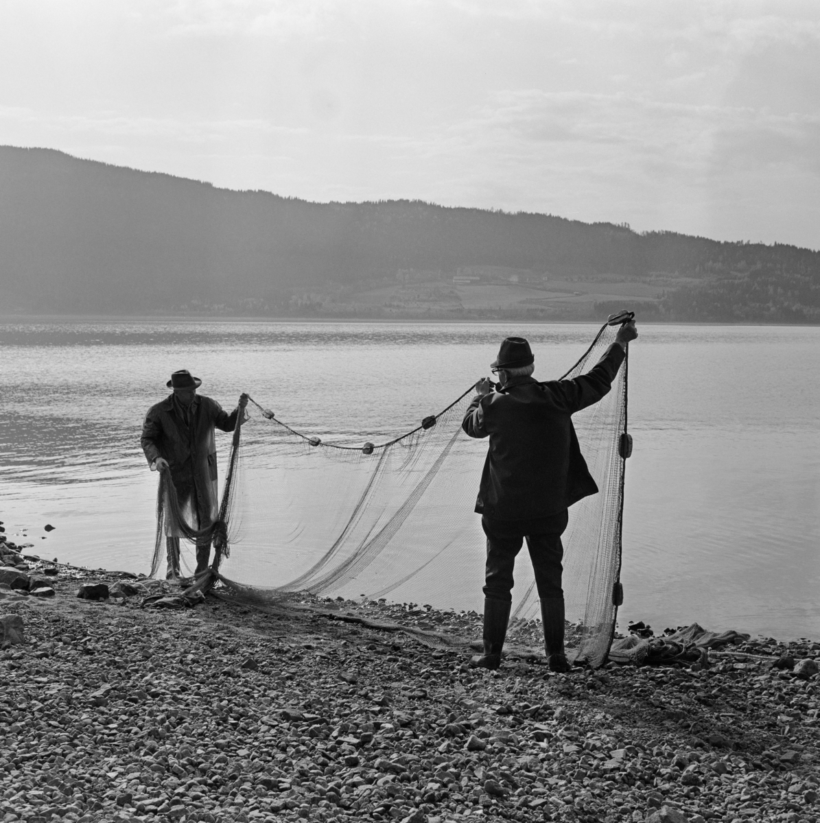 Utgreiing av krøklenot etter notkast fra Langodden i Furnesfjorden i Mjøsa i mai 1972.  Vi ser to karer på ei steinete strand som står noen få meter fra hverandre og løfter overtelna på den finmaskete nota omtrent i hodehøyde.  Overtelna var utstyrt med flytelegemer av kork, tilsynelatende med en drøy halvmeters innbyrdes avstand.  

Notkastet som trolig var gjort like før dette fotografiet ble tatt var nok et forsøk med noe som hadde vært et tradisjonelt vårfiske i Furnesfjorden, antakelig fram til disse karenes barndom.  En del større garder hadde hevd på å drive såkalt «langrevfiske», en ferskvannsvariant av linefiske, utenfor sine strandlinjer.  I dette fisket brukte man levende krøkle som agn på langrevens kroker.  Krøkla ble fanget i nøter, som den vi ser på dette fotografiet, når den kom inn mot strendene for å gyte om våren. Denne formen for fiske opphørte etter at det ble forbudt å bruke levende agnfisk.  Karene på fotografiet hadde følgelig neppe vært med på notdraing etter krøkle.  De hadde imidlertid med seg en 90-årig veteran, som nok kunne fortelle hvordan det ble gjort (jfr. SJF-F. 007189).  Dette stedet ved Langodden skal ha vært et av Mjøsas beste krøklevarp.  Fiskeredskapen var antakelig utlånt fra boet etter brødrene Hans (1900-1966) og Martin (1904-1960) Storihle på garden Stor-Ile i Furnes.  Fra denne garden ble det drevet et omfattende fiske i Mjøsa, til dels med sikte på videresalg av fisk til kjøpmenn på Hamar og i Oslo.  Garden har fortsatt fiskerhytte på Langodden. 