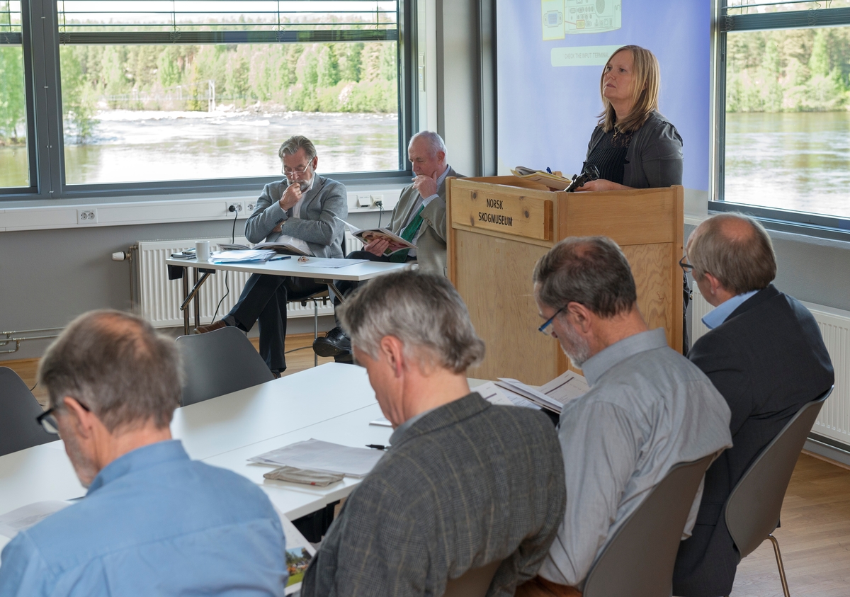 Kontorsjef Kari Tyseng på talerstolen under generalforsamling i Anno museum AS den 27. mai 2014.  Ved et eget bord til venstre for talerstolen sitter direktør Harald Jacobsen og styreleder Yngve Astrup.  Anno museum AS – opprinnelig Hedmark fylkesmuseum AS – ble etablert som en administrativ overbygning over de museene i Hedmark som mottok støtte fra Kulturdepartementet.  Opprinnelig gjaldt dette Domkirkeodden, Glomdalsmuseet, Kvinnemuseet – Museene i Glåmdal, Nordøsterdalsmuseet, Norsk Skogmuseum, Norsk utvandrermuseum, Prøysenhuset og Trysil/Engerdal museum.  Ringsaker kommune har seinere trukket Prøysenhuset ut av virksomheten.  Generalforsamlinga samlet, i tillegg til Anno museums styre og representanter for administrasjonen, representanter for aksjonærene (Hedmark fylkeskommune og museumsstiftelsene som inngår i selskapet). 