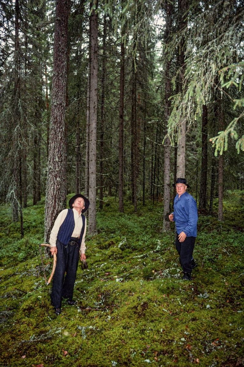 Kjell Haugen og Bjørn Haugen fra Nord-Odal i Hedmark, fotografert i skogen, der de var for å finne det det kalte «flisrajer», emneved til produksjon av takflis.  Karene er fotografert med blikkene vendt oppover, og en av dem hadde ei bogesag i handa som han skulle felle høvelige trær med.  Det var gran som ble mest brukt som flisvirke.  Tradisjonsbærerne foretrakk fortrinnsvis unge, rettvokste trær som hadde stått såpass trangt og skyggefullt til i skogen, slik at de ikke fikk for grov kvist.  Videre foretrakk de trær med rund stammeform framfor slike som hadde jarer eller oval form, som indikerer reaksjonsved på ei av sidene.  Da dette fotografiet ble tatt var det antakelig kvistsettinga og rettvokstheten på trærne i dette skogpartiet de to odølene vurderte.  Fotografiet ble tatt i forbindelse med opptakene til en dokumentarfilm om produksjon av takflis og tekking med slik flis, og karene kledde seg da i et antrekk som gav assosiasjoner til tider da slike tak var vanlige. 