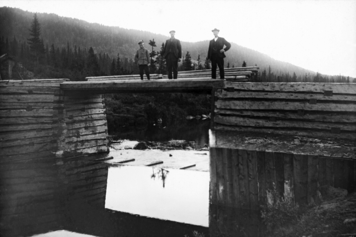 Ett av de to damløpene på Nilsbudammen i Skirvavassdraget (også stavet «Skjerva») i Tinn i Telemark.  Fotografiet er tatt i 1911.  Vi ser et midtkar og en damarm, begge utført som steinfylte tømmerkistekonstruksjoner.  Midtkaret ser også ut til å ha hatt en plogform (spisset) i motstrøms retning.  Over dambrua er det ei bjelkebru.  Bakerst på brua skimter vi en del planker.  Dette er såkalte «nåler», som når vårflommen kom ble stukket mot strømmen slik at de nedre endene ble presset mot en terskel i botnen av damløpet mens de øvre endene lå an mot endebjelken på brua.  Da dette fotografiet ble tatt sto to menn og en ung gutt på dambrua med blikkene vendt mot vannspeilet og fotografen.  I bakgrunnen skimtes ei li med glissen fjellgranskog.  Denne dammen var nybygd da dette fotografiet ble tatt.  Den forrige Nilsbudammen var bygd snaut 20 år tidligere, i 1891-92.  Den hadde imidlertid forfalt raskt, blant annet på grunn av setningsskader (jfr. SJF-F. 007533).  Dette skyldtes at konstruksjonen delvis var reist på sandgrunn, som etter hvert ble undervasket.  Dammen fra 1891-92 hadde kostet cirka 4 000 kroner, denne kostet om lag 6 000.  Kostnadsdifferansen skyldtes ikke så mye allmenn prisstigning som det faktum at man denne gangen gjorde et grundigere grunnarbeid.  Det ble blant annet slått pæler ned i sandgrunnen der hvor dammen skulle stå ved hjelp av en rambukk, før arbeidet med de konstruksjonene vi ser tok til.  Det ble dessuten nedrammet en vegg av grove planker langs de nedre delene av damarmene på motstrøms side.  Denne damkonstruksjonen ble reist noen få meter ovenfor den foregående, som naturligvis ble revet. 