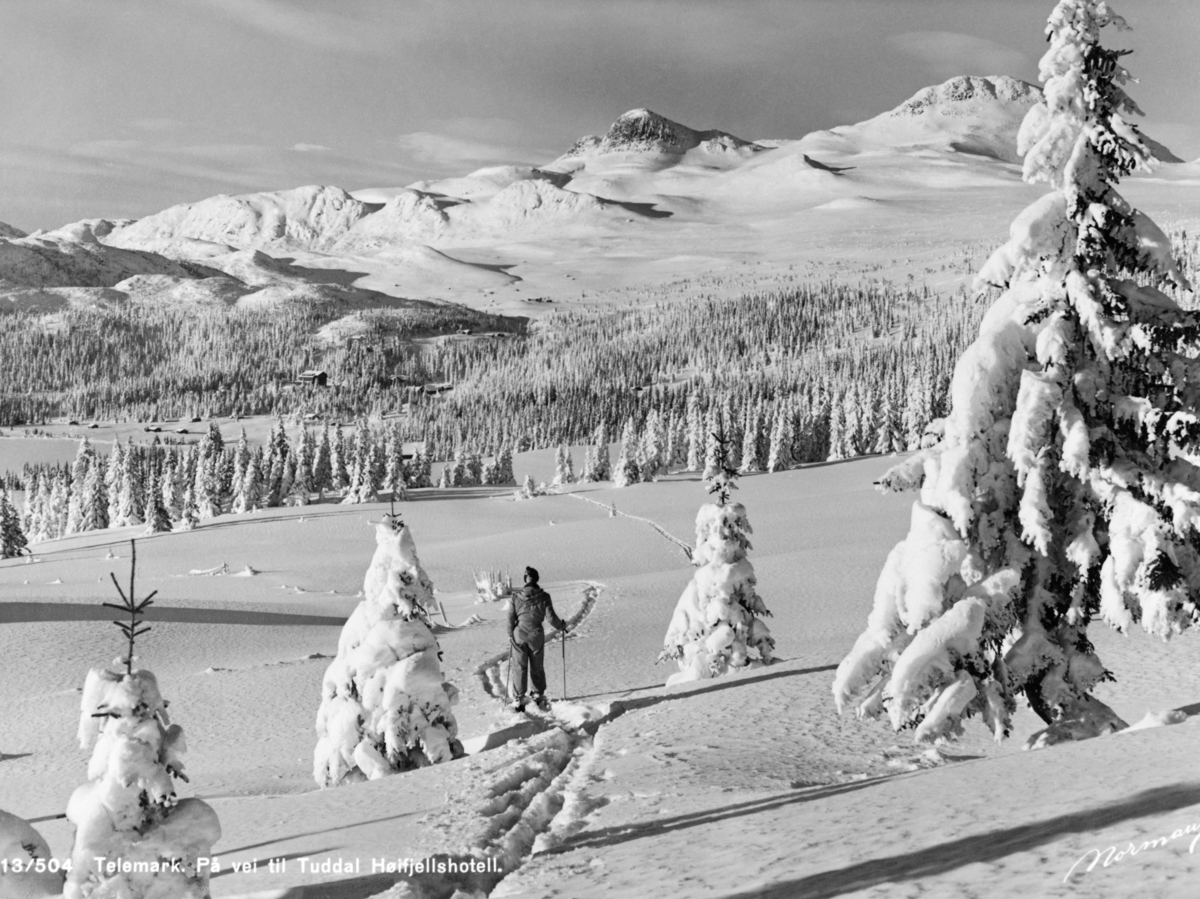 Snødekt vinterlandskap fra Tuddal i Hjartdal kommune i Øst-Telemark.  Fotografiet er tatt i relativt åpent lende med en skiløper mellom noen spredte, snøtunge små grantrær i forgrunnen.  I mellomgrunnen ser vi en del granskog med lysninger der det sto bygninger, muligens sæterhus eller hytter ned mot det islagte og snødekte Kovstulvatnet (helt til venstre, midt på bildeflata).  Vi skimter også en litt større bygning, antakelig Tuddal høyfjellshotell, som er nevnt i teksten på kortet.  I bakgrunnen rager skogbare fjell mot himmelen, bortimot 1 000 meter over havet.