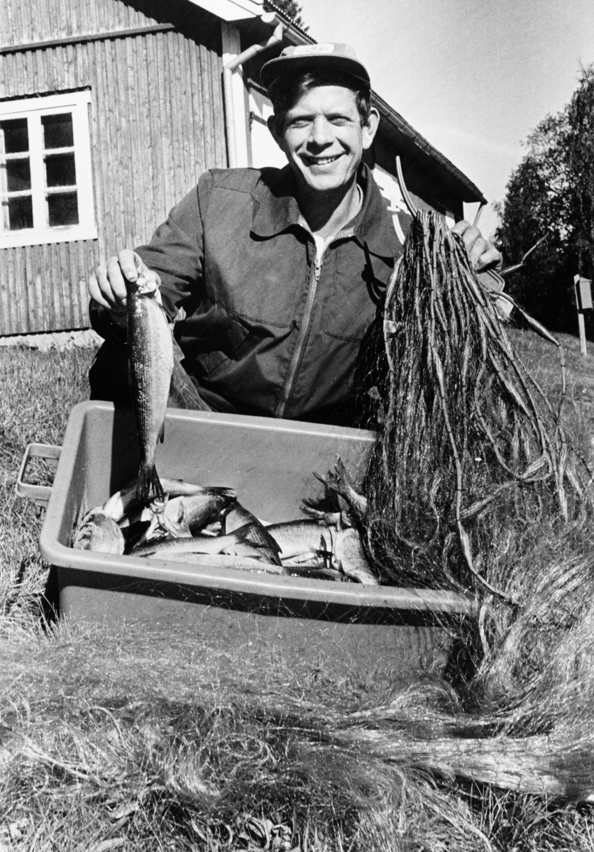 Gardbrukeren og fiskeren Nils Myrene (f. 1950) på Ørneset i Søre Osen i Trysil kommune i Hedmark.  Myrene poserer – kledd i arbeidsantrekk i beavernylon og med skyggelue på hodet – bak ei plastbalje med lågåsild og sik som han hadde tatt på flytegarn i Osensjøen.  Myrene holdt en opp en av fiskene i den ene handa og et nylongarn på ei stikke i den andre.  Bak ham ser vi et av uthusa på Ørneset og postkassa ved bygdevegen.  Fotografiet skal være tatt høsten 1986, antakelig i samband med et oppslag i avisa Østlendingen om 100-årsjubileet for Osen Fiskeforening.

Fra gammelt av skal røye og harr ha vært de viktigste fiskeartene i Osensjøen.  Ifølge Amund Helland (1902) var det også utsatt en del sikyngel i denne sjøen.  Seinere er det også satt ut lågåsild.  Disse artene ble etter hvert stadig viktigere.  Ettersom lokalbefolkningens fiskeaktivitet har avtatt later det til at fiskens konstitusjon er blitt dårligere, og at dette har rammet sikbestanden hardere enn lågåsilda, som er større i Osensjøen enn i Mjøsa.