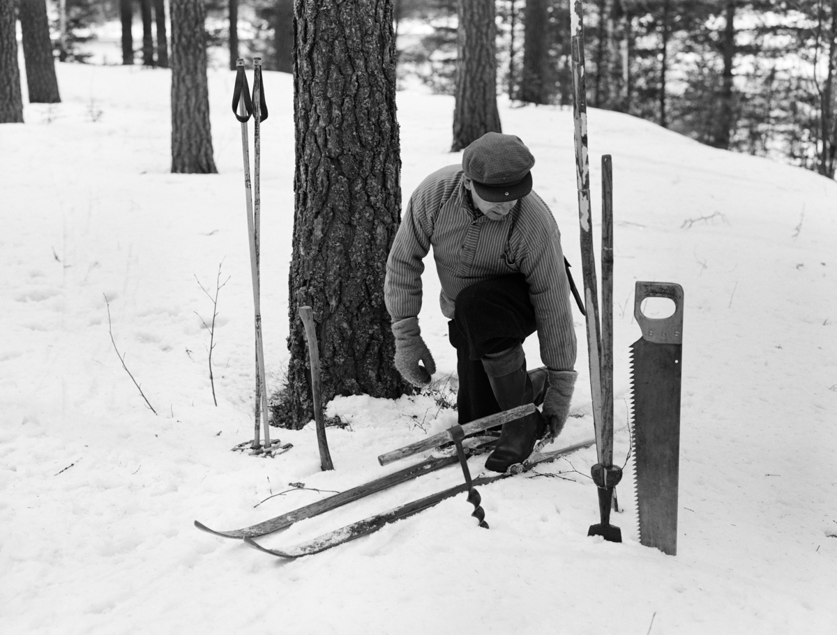 Kåre Bratteggen (1910-1999) fra Innbygda i Trysil, fotografert med det utstyret og den typen klær som skogsarbeiderne i hjembygda hans brukte i Bratteggens ungdomsår.  Her ser vi skogsarbeideren idet han løsner skibindingene ved siden av ei furu han skulle felle.  Til venstre for ham står skistavene i snøen, mens øksa er reist inntil trestammen.  Den kunne brukes til felling, kvisting og barking, men etter det øvrige utstyret vi ser på fotografiet å dømme, var det vel helst bare kvistinga som skulle utføres ved hjelp av øks i dette tilfellet.  Til høyre for skogsarbeideren ser vi nemlig en navar, en barkespade, en skant og en svans.  Svansen var ei handsag som ble brukt til felling og kapping, barkespaden ble som betegnelsen antyder brukt til barking, men skanten var en hjemmelagd målestav med halvmetermål, som ble brukt når stokkene skulle kappes i salgbare lengder.  Det T-formete navarboret ble brukt til å lage hull i endene på tømmer som skulle hankekjøres – kjedes sammen i endene og trekkes på snøen fram til fløtingsvassdrag.  Skogsarbeideren Kåre Bratteggen var kledd i mørke vadmelsbukser der leggene var beskyttet av snøsokker av lær.  På overkroppen hadde han en lys busserull i halvull, og på hodet ei skyggelue av bomullsstoff.  

Dette fotografiet er tatt i forbindelse med en undersøkelse om skogsarbeiderklær som vitenskapelig assistent Geir Hovensjø ved Norsk Skogbruksmuseum gjorde i 1970-åra.  Undersøkelsen ble publisert i artikkelform i museets årbok nr. 8 (1976-77).  Hovensjø hadde også intervjuet Kåre Bratteggens svigerinne, Bergny Bratteggen.  En tekstsekvens fra artikkelen som beskriver hjemmetilvirkninga av arbeidsklær i denne familien er gjengitt under fanen «Opplysninger».