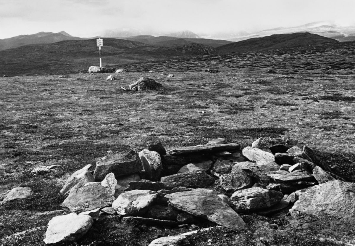 Tuft på den østre toppen av Hjerkinnhø i Dovre kommune i Oppland, cirka tre kilometer østnordøst for Hjerkinn fjellstue.  Tufta, som består av stein som er lagt i en ring med cirka tre meters diameter, ligger 40 meter østnordøst for en varde Norges geografiske oppmåling hadde fått satt opp, og som vi ser i bakgrunnen på dette fotografiet.  Bildet er tatt av den arkeologiinteresserte zoologiprofessoren Edvard Kaurin Barth, som sammen med sin kone Sonja Barth, arbeidet mye med å kartlegge spor etter falkefangst i østnorske fjellområder.  Tipset om denne lokaliteten fikk de av tre lokale historieinteresserte, som hadde lagt merke til steinringen.  Edvard K. Barth observerte at denne tufta skilte seg litt fra de han hadde undersøkt med arkeologiske metoder i Femundstraktene, men at det minte om lokaliteter Øystein Mølmen hadde funnet i Lesjafjellene og tolket som falkefangerhytter.  Barth kommenterte dette slik: «Vi har tenkt att at de skriver seg fra falkefangst i noe nyere tid med bruk av duk som ble spent over flyttbare stenger.  Alt materiale ble i så fall fjernet, og virksomheten har vært over så kort tid at det sjelden vil kunne finnes avfall innenfor ringen.»  Når Barth brukte begrepet «nyere tid» var det nok i denne konteksten slutten av 1700- eller begynnelsen av 1800-tallet han tenkte på.  Fotografiet gir også et overblikk over det flate, åpne viddelandskapet med vidt utsyn i alle himmelretninger, som sannsynligvis var en viktig lokaliseringsfaktor for falkefangerne.