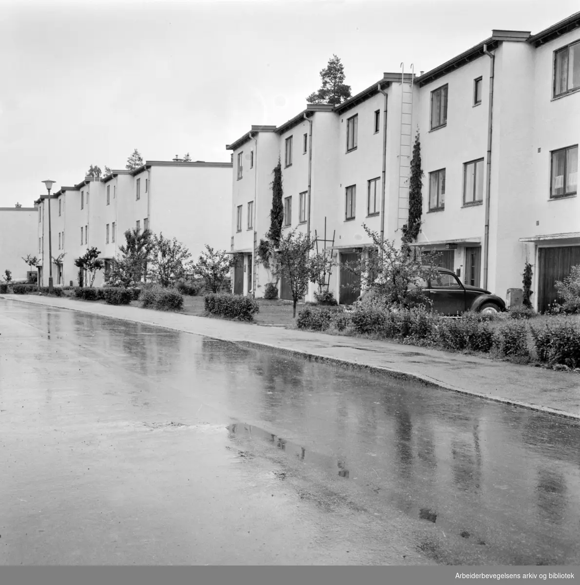 Bøler. Boligområde. Politiets selvbyggerlag, Bølerskogen..Juni 1963