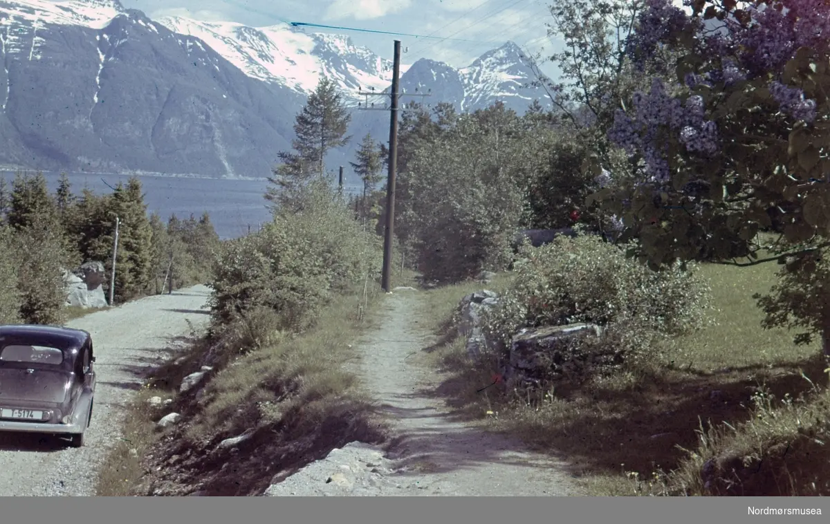 Foto av en bil langs en vei ved Sunndalsfjorden. Bilen har reg. skilt T-5174. Samling fotografier og karttegninger, fotografert eller samlet sammen av Arkitekt MNAL Kristian Sylthe (f. 18.06.1926) ved Kristiansund kommune i sitt virke som kommunearkitekt (senere næringssjef) samt som sekretær i Oljeutvalget fra begynnelsen tidlig 1970. Samlingen kan i hovedsak dateres mellom 1945 til 1980. Samlingen er gitt i gave av Kristiansund kommune. Fra Nordmøre museums fotosamlinger.