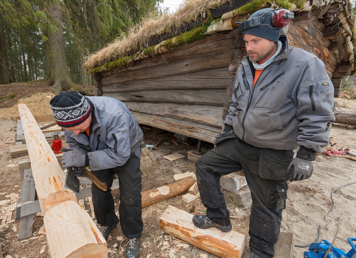 Tilpassing av ny svillstokk i den nordre langveggen på Breisjønaustet i Norsk Skogmuseums friluftsmuseum på Prestøya i Elverum(SJF-B.0011).  Arbeidet ble utført som et kurstilbud for vedlikeholdspersonale ved avdelingene i Anno museum.  Her ser vi (til venstre) kursdeltaker Knut Melby fra Glomdalsmuseet som former kinningene i laftets nakkeparti med ei bile, mens kollegaen Bjørn Erik Hansen følger interessert med.  Arbeidet gjøres med stokken liggende på et par bukker, noe som innebar at tømrerne i denne operasjonen hadde en ganske behagelig arbeidsstilling.