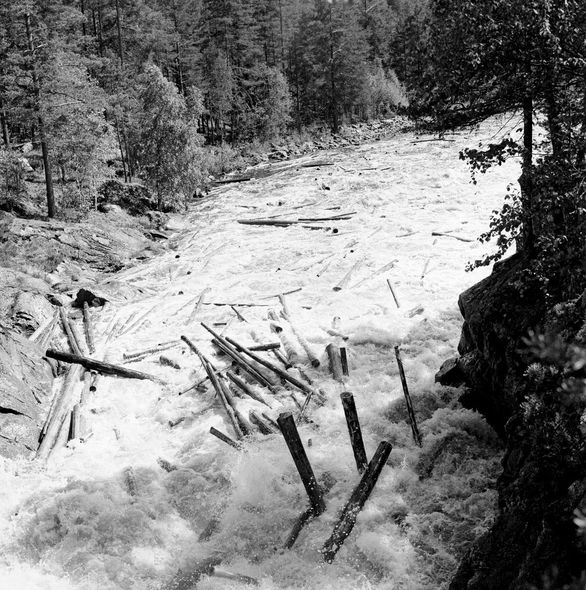 Tømmer i kvitskummende elvevatn i den nedre delen av Halsjøfossen eller Halkvernstupen i Halåa, altså ved utløpet av Halsjøen, øverst i Flisavassdraget i den østre delen av Våler kommune i Hedmark.  Her var det et 85 meter langt og 9 meter høgt fall i elva, omgitt av bratte bergskrenter.  Fotografiet er tatt nederst i dette fallet, på et tidspunkt med stor vannføring og strid strøm.  Bildet viser hvordan tømmerstokkene nærmest reiste seg i strømkavet.  Dette fossefallet skapte lenge store problemer for tømmerfløtinga, men forbygningsarbeider med dam i ytterenden av Halsjøen, golving på elvebotnen og skådammer langs elvebreddene, gav fløterne en viss kontroll med tømmerets gang gjennom fossen.  Fotografiet illustrerer at det fortsatt var krefter i fossen, som nok kunne skade enkelte av stokkene.  Bildet er tatt i 1969. Fløting av tømmer. Skogbruk.