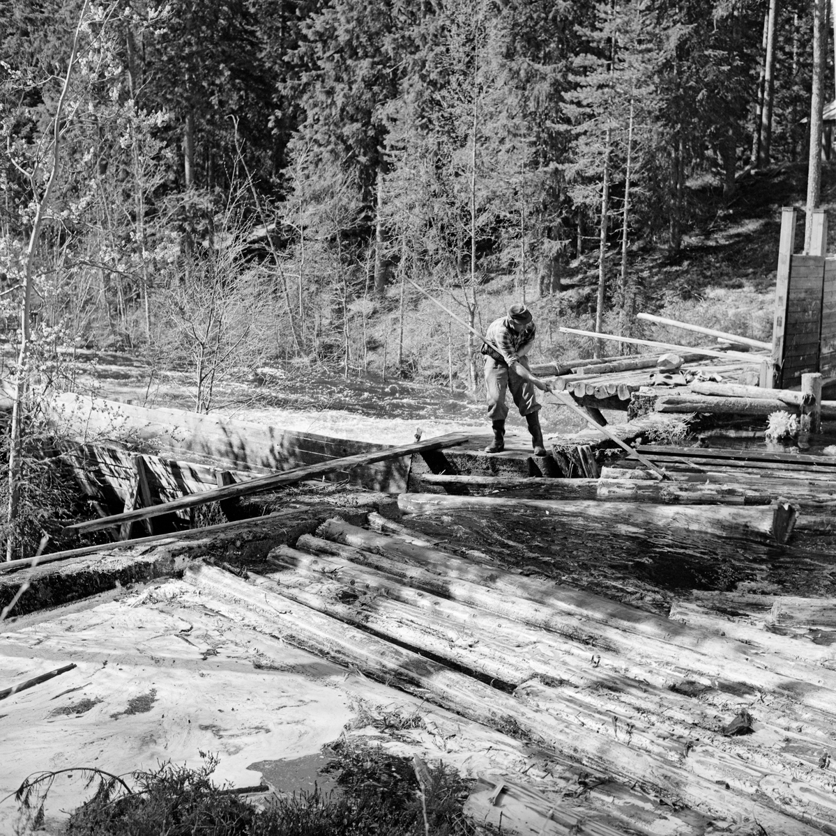 Påstikking av tømmer i tømmerrenna i den nedre delen av Fallåa i Malungsvassdraget i Romedal allmenning i Hedmark.  Fotografiet viser en tømmerfløter, kledd i rutete bomullsskjorte, dongeribukse og langskaftete gummistøvler, som sto på dambrua med en fløterhake, som han brukte til å trekke tømmerstokker inn i renna.  Vannspeilet på dammen var nesten helt dekt av barket fløtingsvirke fra ovenforliggende skoger.  Bak fløteren er vi noe av dambrua ved lukedammen på stedet, og nedenfor den ser vi Fallåa i sitt naturlige løp. 

Behovet for ei tømmerrenne i Fallåa skyldtes at dette lille fløtingsvassdraget passerte et bratt fall cirka en kilometer før det nådde utløpet i Malungstjernet.  Her hadde tømmeret lett for å splintres eller å sette seg fast.  Derfor bygde trelastfirmaet Westye Egeberg & Co. ei tømmerrenne på dette stedet i 1890-åra.  Denne første renna var ment som ei våtrenne, som den på fotografiet, men den fungerte ikke helt etter intensjonene.  Ettersom inntakspunktet for renna var plassert litt nede i den bratte skrenten, skal tømmeret ha blitt kastet inn i renna i så stor hastighet at tømmerstokkene så å si seilte fra vannet, som kom støtvis etter.  Dette innebar mye slitasje på rennelegemet, og stadige reparasjonsbehov.  Derfor bestemte man i 1914 at renna skulle forlenges og forhøyes, slik at tømmerinntaket kunne flyttes til en damkonstruksjon – seinere kalt Rennedammen – noe høyere oppe, ovenfor det bratte partiet.  Dermed oppnådde fløterne jevnere vannføring og noe langsommere framdrift for fløtingsvirket.  Der renna krysset den daværende kjerrevegen mellom Vallset og Odalen ble det bygd bru over renna.  Renna fra 1914 var i bruk fram til 1934.  Romedal allmenning, som i mellomtida hadde overtatt Westye Egeberg & Cos eierskap til skogen i dette området, bygde da ei helt ny renne der den forrige hadde stått.  Samtidig ble Renndammen forhøyet og pusset med sement.  Renna fra 1934 var i bruk i 35 år, altså fram til våren 1969, da dette fotografiet ble tatt. Fløting av tømmer. Tømmerfløter. Fløter. Skogbruk.