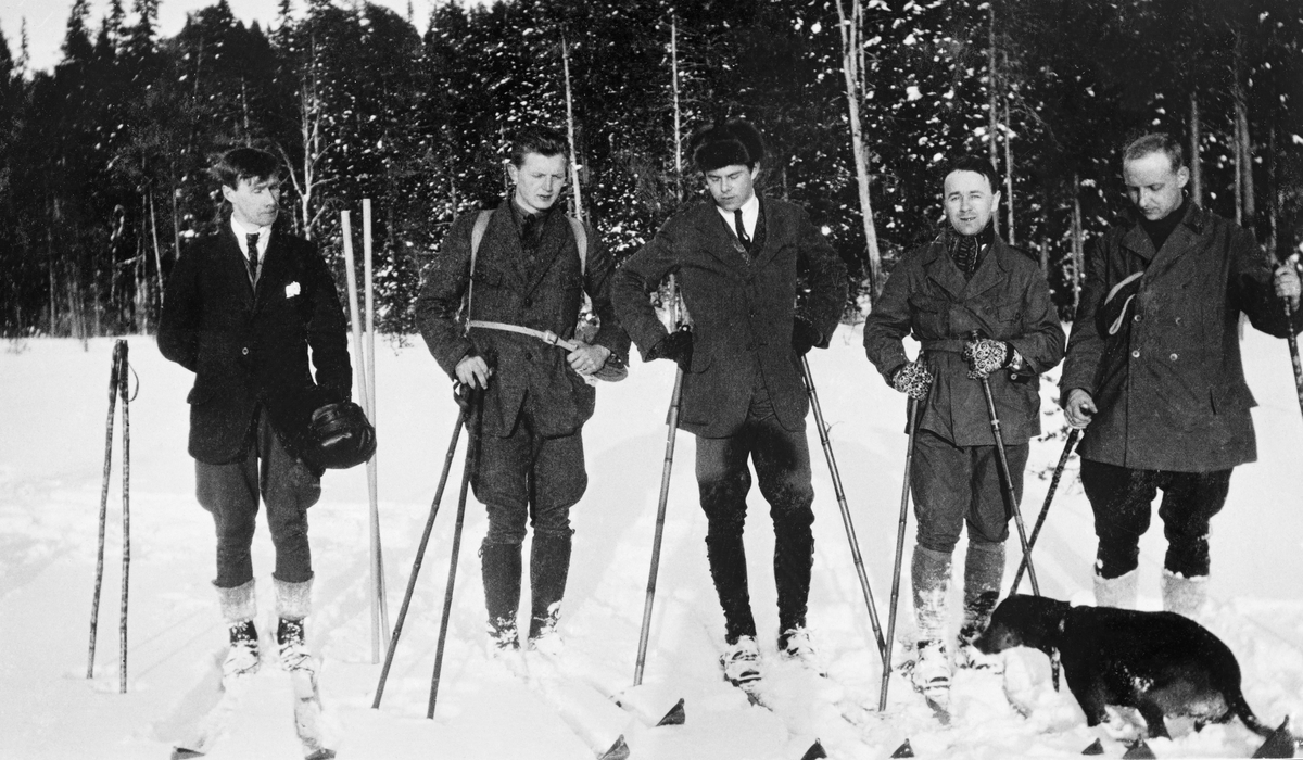 Skandinavene som drev sagbruk i byene ved utløpene av de store nordvestrussiske elvene tidlig på 1900-tallet holdt sammen, blant annet ved å gå skiturer sammen på vintersøndager.  Dette fotografiet viser fem av de siste skandinavene som holdet stand før Josef Stalin gjorde ende på Lenins pragmatiske NEP-politikk (Ny Økonomisk Politikk), som hadde tillatt samarbeid med utenlandske investorer om næringsvirksomhet.  Mennene var (fra venstre) Paul Wager, … Reisdal (fornavnet er foreløpig ukjent), Marius Berg, Elgar Hansen og Egil Abrahamsen.  Til høyre i bildet ser vi en hund, som antakelig tilhørte en av skiløperne.