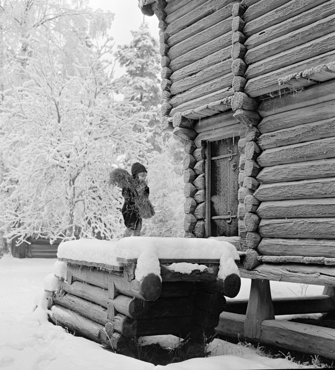 Nisseskikkelse på trappereposet foran Hanestad-stabburet fra Rendalen, slik det er gjenoppført i Glomdalsmuseets friluftsmuseum i Elverum.  Fotografiet er tatt en kald vinterdag, like før jul i 1963.  Både marka og det nevnte trappereposet – et takløst, laftet tømmerkar cirka 40 centimeter framfor stabburet – var dekt av snø.  På tømmerveggene lå det et rimlag som tydeliggjorde strukturene i de gamle stokkene.  Hanestad-stabburet er oppført på trestabber, som rir på ei rektangulær tømmerramme.  Bygningen er oppført i to etasjer, der den øvre er noe utkraget i forhold til den nedre.  Det som er mer uvanlig er at dette stabburet i begge etasjer er delt i to rom, hvorav de minste er gangrom, og at inngangen er plassert på langsida.