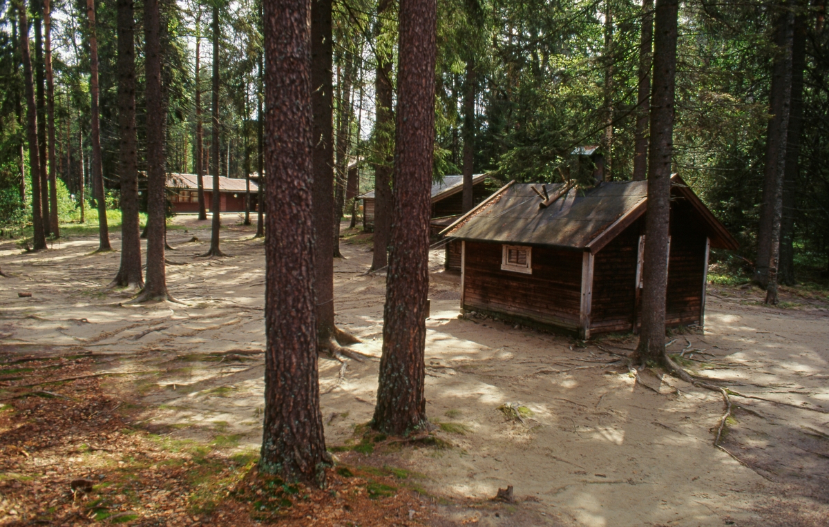 Fra den såkalte «Koiedalen» i Norsk Skogbruksmuseums friluftsavdeling på Prestøya i Elverum.  Fotografiet er tatt sommeren 1995, etter en storflom ingen kunne huske maken til.  Vannmassene satte om lag tre firedeler av den forholdsvis lave, sandrike øya under vann.  Museets vaktmestere og et par innleide karer fra entreprenørselskapet Martin M. Bakken fikk det travelt med forankre de små, lette, antikvariske trebygningene, så de ikke skulle flyte opp og drive vekk.  Langs øyas ytterkanter, der strømmen var stri, oppsto det skader på mange av bygningene.  Her i Koiedalen derimot, var det mindre strøm.  Vannet som trengte inn i svillsonen på mange av bygningene tørket etter hvert opp igjen, uten å ha forårsaket varige skader.  På marka i forgrunnen ser vi imidlertid at elva hadde lagt igjen en del sand på dette stedet.  Bygningen i forgrunnen er Martin M. Bakkens patentkoie (jfr. SJF-B.0012).  Bak den skimter vi taket på Midtvollhytta fra Østre Gausdal (SJF-B.0035) og til venstre i bakgrunnen ser vi serviceanlegget «Fossekallen», med kiosklokale på den ene sida og toalettanlegg på den andre.  Den gamle gran- og furuskogen på denne delen av Prestøya ble i liten grad påvirke at flommen.