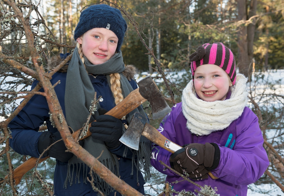 Fra temadagsopplegget «Fra stubben til tømmervelta» ved Norsk Skogmuseum i Elverum vinteren 2016.  Dette er ett av 15 ulike pedagogiske dagsprogram «Naturskolen» ved museet tilbyr barnehage og grunnskole i løpet av undervisningsåret.  «Fra stubben til tømmervelta» omfatter fem programposter eller «stasjoner»: Hogst med bruk av øks, svans og barkespade, lunning med hest og lunneskjæker, tømmerkjøring, visning av filmen «Hankekjøring i Vestre Gausdal» og koieliv.  Den dagen dette fotografiet ble tatt var det femtetrinnelever fra Sør-Hedmark og Oslo som deltok i opplegget.  Dette fotografiet ser vi to av jentene som deltok i opplegget med hver sin arbeidsøks.