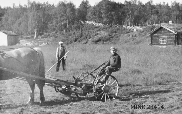 gutt kjører hestrive mann med ljå