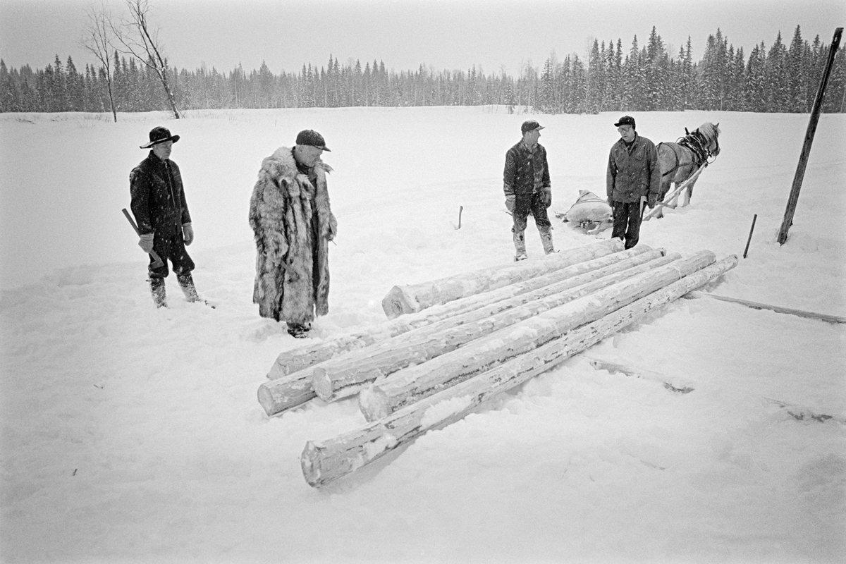 Tømmermåling i Nordre Osen (Åmot kommune i Hedmark) vinteren 1980.  Fotografiet er tatt på ei åpen, snødekt flate, den tilfrosne Langdammen på eiendommen Nysæter.  I forgrunnen ligger ei lita flakvelte – ett lag med parallelle tømmerstokker vinkelrett på to underlagstokker.  Lengst til høyre på dette fotografiet sto en kar med en skyveklave i handa.  Dette redskapet ble brukt til å registrere diametermålene på stokkene.  Diameter- og lengdemål, som var påslått stokken med romertall under apteringa i skogen, ble loggført i «stikkboka» som den pelskledde tømmermåleren holdt i hendene.  Lengst til venstre sto Paul Granberg, som her hadde rollen som «påslager» med ei merkeøks i handa.  Denne øksa hadde en profilert egg som gjorde det mulig å slå tømmerkjøperens symbol på stokken, som et kjennemerke når tømmeret kom i fløtingsvassdrag der det var virke som skulle til mange tømmerkjøpere.  Den pelskledde mannen er Birger K. Nysæther med måleklaven. Deretter følger tømmerkjører Ole Rismyr fra Slettås i Trysil.  Fjordingen hans sto i bakgrunnen.  Lenst til høyre står Ole J. Sagen.  Fotografiet er tatt i forbindelse med opptakene til fjernsynsfilmen «Fra tømmerskog og ljorekoie», som ble vist på NRK 1. mai 1981.  Ettersom poenget med denne filmen var å synliggjøre strevet i tømmerskogen i den førmekaniserte driftsfasen, viser den driftsprosedyrer og redskap som bare noen få veteraner fortsatt brukte på opptakstidspunktet.