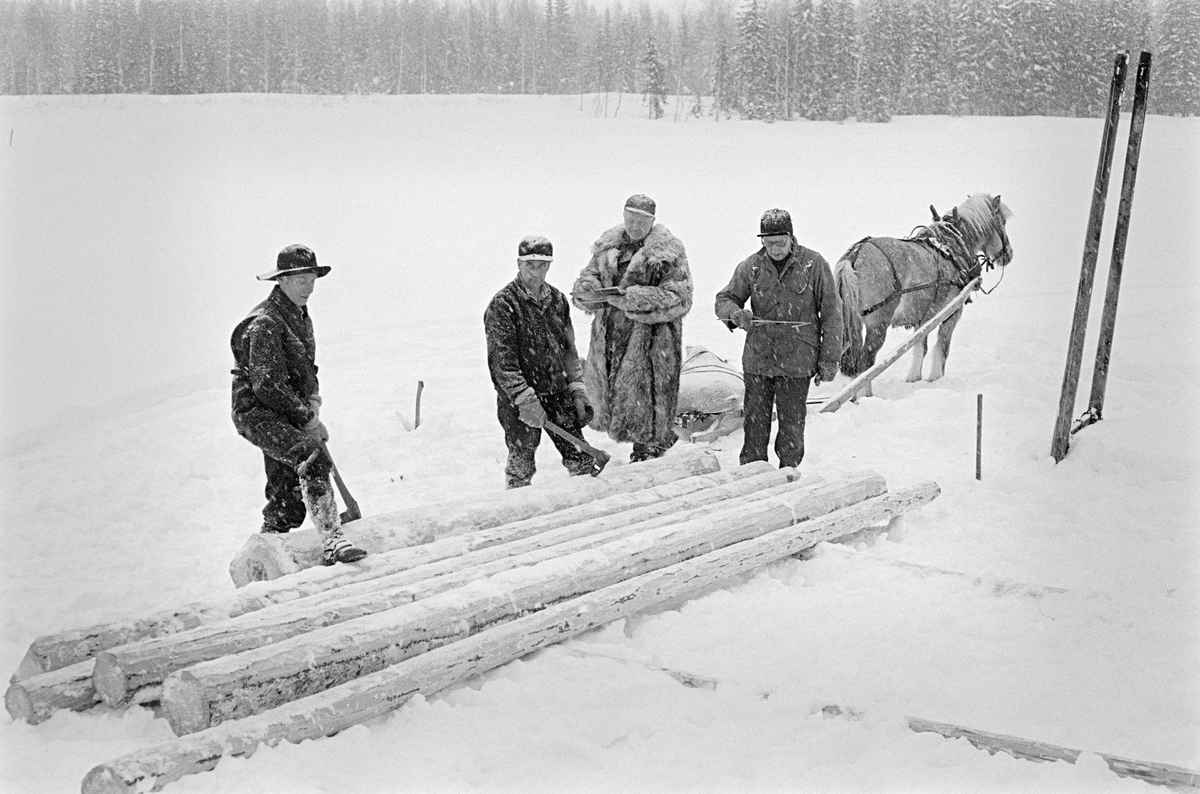 Tømmermåling i Nordre Osen (Åmot kommune i Hedmark) vinteren 1980.  Fotografiet er tatt på ei åpen, snødekt flate på Langdammen på eiendommen Nysæter.  I forgrunnen ligger ei lita flakvelte – ett lag med parallelle tømmerstokker vinkelrett på to underlagstokker.  Lengst til høyre på dette fotografiet sto Ole J. Sagen med en skyveklave i handa.  Dette redskapet ble brukt til å registrere diametermålene på stokkene.  Diameter- og lengdemål, som var påslått stokken med romertall under apteringa i skogen, ble loggført i «stikkboka» som den pelskledde tømmermåleren (Birger K. Nysæther) holdt i hendene.  Til venstre sto to «påslagere» (Paul Granberg og Ole Rismyr) med ei merkeøkser i hendene.  Slike økser hadde en profilert egg som gjorde det mulig å slå tømmerkjøperens symbol på stokken, som et kjennemerke når tømmeret kom i fløtingsvassdrag der virke som skulle til mange ulike kjøpere ble blandet.  Ole Rismyr fra Slettås i Trysil var egentlig tømmerkjører.  Fjordingen hans sto i bakgrunnen. Fotografiet er tatt i forbindelse med opptakene til fjernsynsfilmen «Fra tømmerskog og ljorekoie», som ble vist på NRK 1. mai 1981.  Ettersom poenget med denne filmen var å synliggjøre strevet i tømmerskogen i den førmekaniserte driftsfasen, viser den driftsprosedyrer og redskap som bare noen få veteraner fortsatt brukte på opptakstidspunktet.