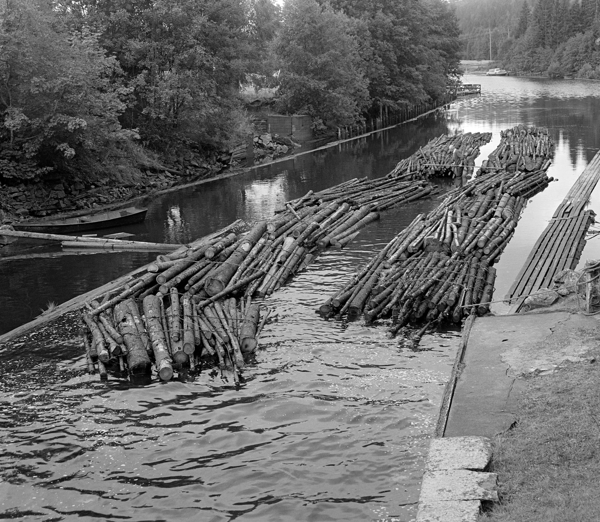 Fløtingstømmer på veg ut av Ørje sluser i Marker kommune i Østfold (Haldenvassdraget).  Fotografiet er tatt i 1982, den siste sesongen det foregikk tømmerfløting i dette vassdraget.  Da ble det bare fløtet ubarket massevirke (papirråstoff) til Saugbrugsforeningen i 3 meters lengder.  Mesteparten av tømmeret ble utislått i bunter - såkalte «moser» - fra lastebiler ved Skulerud.  Derfra ble de slept over Rødenessjøen til sluseanlegget ved Ørje, hvor slepet ble delt opp i kortere lenker (her fire bunter) som passet inn i slusekamrene.  Ørje sluser har tre slike kamre, som utlikner en nivåforskjell på ti meter mellom ovenforliggende og nedenforliggende vassdrag (Rødenessjøen og Ørjeelva).  I Ørjeelva ble slusevendingene bundet sammen igjen for videre buksering med slepebåt.  Da dette fotografiet ble tatt sto pensjonert slusemester Odd Johansen (1917-1993) med en lang fløterhake på en av buntene.  Han skulle sannsynligvis binde den sist ankomne slusevendinga til en «lenk» som allerede lå inntil gangbanen langs vestre elvebredd.  Ved østre elvebredd (til venstre i bildet) lå det ei jerneke fortøyd ved land.  Langs østre elvebredd skimter vi også ei lense som var lagt med overlappende ender i strømretningen (omtrent som takstein), slik at mosene ikke skulle hekte seg fast.

Det første sluseanlegget ved Ørje ble bygd i perioden 1857-1860, og fra 1877 ble tømmer fra de øvre delene av vassdraget fløtet ned til industrien i Halden på et kanalisert vassdrag.  En kort historikk om fløtinga i Haldenvassdraget finnes under fanen «Opplysninger».