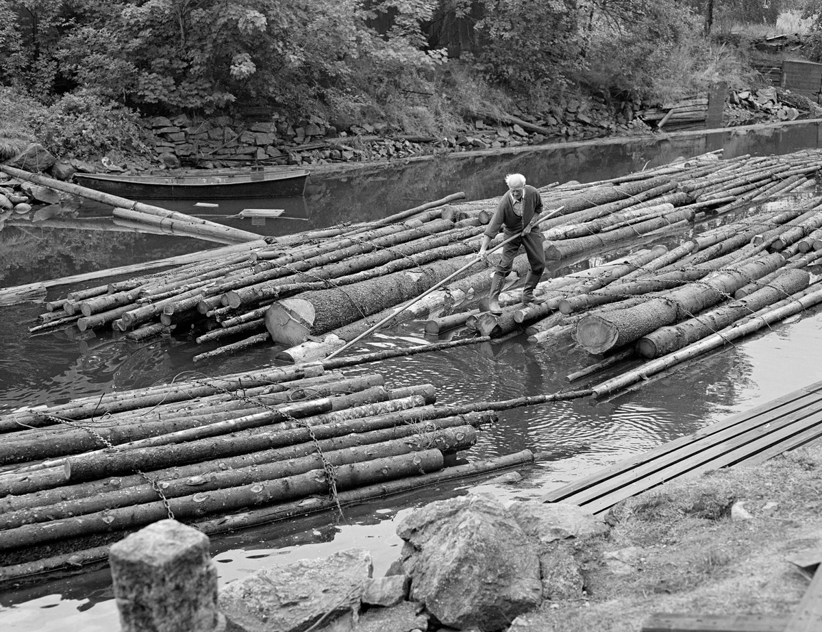 Arbeid med buntet tømmer i Ørjeelva, like nedenfor Ørje sluser i Marker kommune i Østfold høsten 1982.  Dette var det siste året det ble fløtet tømmer i Haldenvassdraget, og det ble utelukkende fløtet ubarket massevirke (papirråstoff) i tre meters lengder til Saugbrugsforeningen.  Tømmer fra nordre del av Østfold og tilstøtende deler av Akershus og Hedmark ble utislått buntevis fra lastebiler ved Skulerud i Høland.  Derfra ble det buksert med båt ned til Ørje, hvor de store slepene ble delt i kortere lenker med fire bunter for å få plass i slusekamrene.  Etter at tømmeret var sluset ti høydemeter ned fra Rødenessjøen til Ørjeelva skulle buntene – «mosene» – bindes sammen i noe lengre lenker igjen og slepes til et leggested i Lifjorden der tømmeret kunne bindes til et større slep for buksering over Øymarksjøen.  Sammenlenkinga av mosene i lengderetningen ble gjort ved at fløterne dro et par stokker fra den øvre delen av en mose litt ut og trakk mosen inntil den mosen den skulle kjedes sammen med.  Der skulle de framstikkende stokkendene smøyes innunder vaierbindene og «låses» ved hjelp av små ståltrådkramper, som ble slått over mosebindene og ned i stokkene.  På dette bildet ser vi pensjonert slusemester Odd Johansen (1917-1993) som ved hjelp av en langskaftet fløterhake trekker en tømmermose med to framstikkende stokkender inntil enden av en annen mose, som den skal bindes i hop med. 

En liten historikk om tømmerfløting og kanaliseringsarbeid i Haldenvassdraget finnes under fanen «Opplysninger».