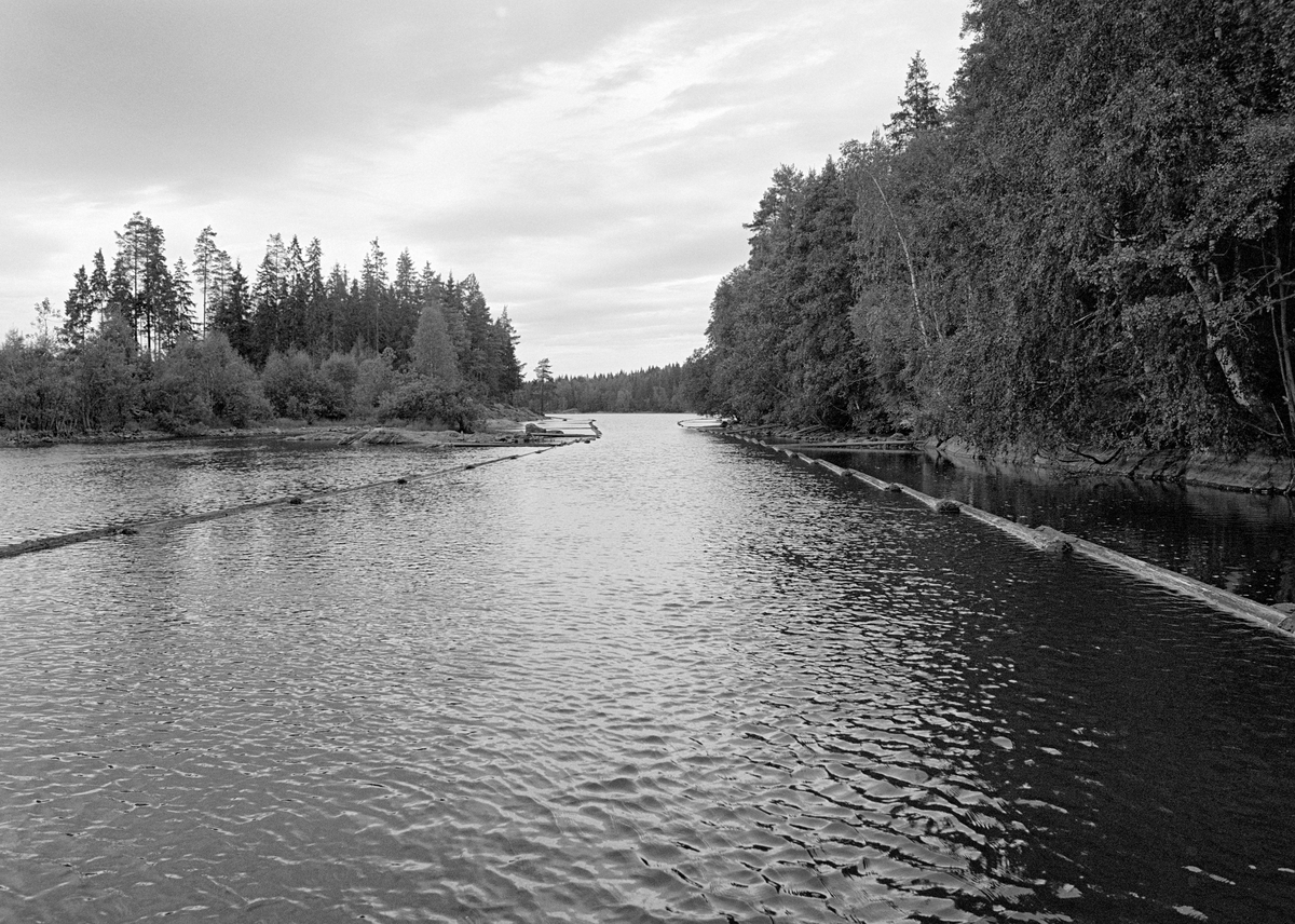 Lenselagt elveparti i Strømselva i Aremark kommune i Østfold.  Fotografiet er tatt i motstrøms retning på et sted der elva var vid og stilleflytende, men antakelig også grunn.  Sannsynligvis var det en viss dybde langs det østre landet.  Dette må ha vært bakgrunnen for at det lå ledelenser som skulle holde tømmeret i denne delen av elveløpet.   Lensene i Haldenvassdraget ble ofte lagt slik at endene på lensestokkene overlappet hverandre, som takstein.  Lensestokkene ble sammenføyd ved hjelp av smidde kramper og løkker.  Det var også vanlig at lensene ble utstyrt med tverrstokker på landsidene som skulle sikre at de lå i en viss minimumsavstand fra elvebreddene.  

En liten historikk om tømmerfløting og kanaliseringsarbeid i Haldenvassdraget finnes under fanen «Opplysninger».