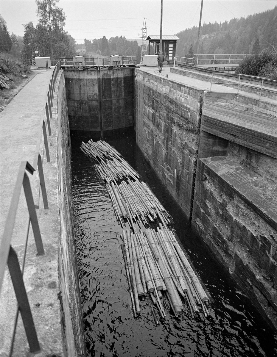 Det øverste slusekammeret ved Brekke sluser i tidligere Berg (nå Halden kommune) herred i Østfold.  Brekke sluser har slusekammere som er støpt av armert betong og sluseporter av stål. Anlegget hadde hydraulisk styring av portene og vannstrømmen i omløpsrørene som førte vann fra ovenforliggende til nedenforliggende slusekammer.  Disse funksjonene ble aktivert fra bryterpaneler i små «kiosker» ved sluseportene.  Vi ser en slik kiosk til høyre for sluseporten på dette fotografiet.  Nede i slusekammeret lå det ei lenke med fire bunter ubarket massevirke i tre meters lengder.  Dette var ei normal slusevending med dette sortimentet.  Mannen som vandret på plattformen mot kiosken og sluseporten var slusemester Kristian Gunneng.

Dette er det tredje sluseanlegget som ble bygd ved Brekke.  Det første, som den kjente vassdragstekniske pioneren Engebret Soot (1786-1859) hadde idéen til, ble bygd i slutten av 1850-åra av stedlig stein med rosentorv som tettingsmateriale i murverket.  Dette sluseanlegget ble ødelagt under flom alt i 1861.  I perioden 1873-1877 bygde det statlige Kanalvesenet et nytt sluseanlegg ved Brekke, også dette med fire slusekamre, men åpenbart mer solid enn det første.  Fredrikshald (Halden) kommune sikret seg fallrettigheter ved Brekke alt i 1904.  Det varte imidlertid helt til 1918 før kraftutbyggingsprosjektet her ble påbegynt.  I åra som fulgte ble det bygd en massiv betongdam ved Brekkefossen som var 110 meter lang, og som på grunn av vanskelige grunnforhold måtte få en høyde på opptil 38 meter.  Kraftverksdammen hevet med andre ord vannspeilet i den ovenforliggende delen av Stenselva kraftig, slik at det ble nødvendig å bygge et helt nytt sluseanlegg.  Dette ble utført i armert betong, med stålporter og hydraulisk styring. 

En liten historikk om tømmerfløting og kanaliseringsarbeid i Haldenvassdraget finnes under fanen «Opplysninger».