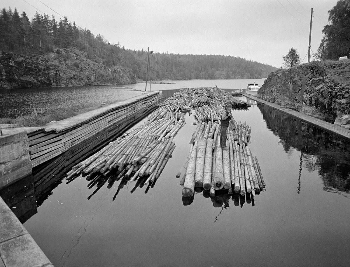 Tømmerbunter i innløpskanalen fra reservoardammen til Brekke kraftverk til Brekke sluser i tidligere Berg herred, nåværende Halden kommune, i Østfold.  Kanalen later delvis til å være sprengt ut i berget.  Langsmed den bratte bergveggen til høyre gikk det ei ganglense i lav høyde over vannspeilet.  Til venstre var det ei noe høyere gangbru av tre, fundamentert på fjell, som øverst mot dammen endte i et solid, støpt pilarhode.  Slepene fra den ovenforliggende delen av vassdraget ble lagt inntil fjellet på sørsida av dammen (bak båten ved enden av ganglensa).  Slepene måtte deles i kortere lenker for å få plass i slusekamrene.  På bildet ser vi buntet, ubarket massevirke i tre meters lengder.  Av dette sortimentet gikk det fire bunter i hver slusevending.  Slusevendingene ble trukket fra kanalen mot det øverste slusekammeret ved hjelp av nokkespill (jfr. SJF-F.009380, SJF-F.009402 og SJF-F.009405). 

Dette er det tredje sluseanlegget som ble bygd ved Brekke.  Det første, som den kjente vassdragstekniske pioneren Engebret Soot (1786-1859) hadde idéen til, ble bygd i slutten av 1850-åra av stedlig stein med rosentorv som tettingsmateriale i murverket.  Dette sluseanlegget ble ødelagt under flom alt i 1861.  I perioden 1873-1877 bygde det statlige Kanalvesenet et nytt sluseanlegg ved Brekke, også dette med fire slusekamre, men åpenbart mer solid enn det første.  Fredrikshald (Halden) kommune sikret seg fallrettigheter ved Brekke alt i 1904.  Det varte imidlertid helt til 1918 før kraftutbyggingsprosjektet her ble påbegynt.  I åra som fulgte ble det bygd en massiv betongdam ved Brekkefossen som var 110 meter lang, og som på grunn av vanskelige grunnforhold måtte få en høyde på opptil 38 meter.  Kraftverksdammen hevet med andre ord vannspeilet i den ovenforliggende delen av Stenselva kraftig, slik at det ble nødvendig å bygge et helt nytt sluseanlegg.  Dette ble utført i armert betong, med stålporter og hydraulisk styring.  Betjeningspanelene for sluseportene ble plassert i små kiosker ved hver port.  Vi ser to av dem på dette fotografiet.  Kioskene ble, i likhet med de øvrige bygningene ved sluseanlegget og kraftverket, tegnet av den kjente arkitekten Thorvald Astrup (1876-1940).  Dammen var en såkalt valsedam.  På nordsida av dammen (like over taket på kiosken til høyre) ser vi innløpet til den 200 meter lange omløpsdammen, som var sprengt inn i fjellet. Fotografiet ble tatt i 1982, som var den siste sesongen det ble fløtet tømmer i Haldenvassdraget.  Dermed mistet sluseanleggene sin viktigste funksjon.  Rekreasjonsbruken av det kanaliserte vassdraget har imidlertid økt kraftig i åra etterpå.

En liten historikk om tømmerfløting og kanaliseringsarbeid i Haldenvassdraget finnes under fanen «Opplysninger».