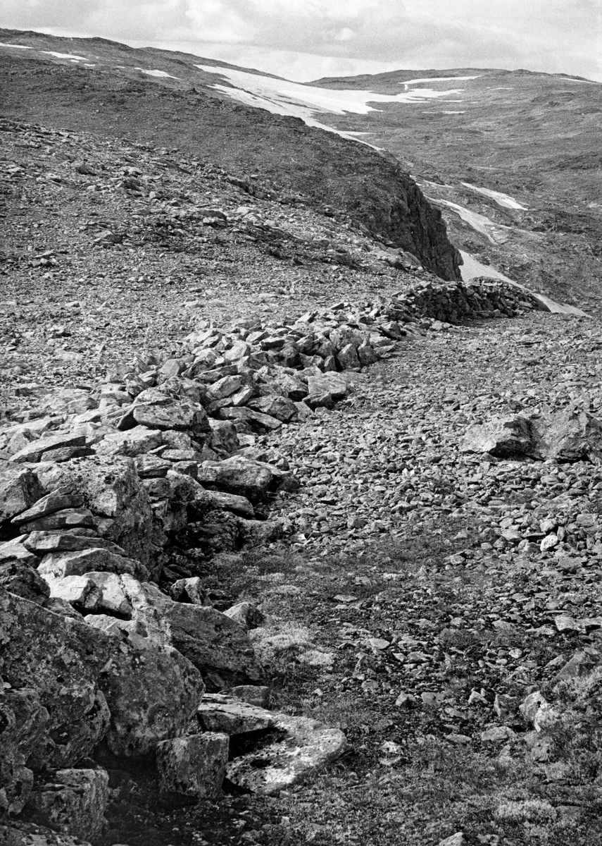 Mur på Handalseggi i fjellet vest for Nærøyfjorden og sør for bygda Fresvik ved Sognefjorden.  Fotografiet viser deler av en steinmur som er 110 meter lang som går i om lag 45 graders vinkel over egga.  Både lærer Per Hansen Bøthun (1898-1962) og zoologiprofessor Edvard K. Barth (1913-1996) har undersøkt anlegget, og er enige om at steinmuren må ha vært det sentrale elementet i et massefangstanlegg for rein.  Barth, som brukte mye av sin tid på å undersøke spor etter fangstaktiviteter i norske høgfjell skrev i 1986 at «der fikk jeg nærkontakt med det første sikre stupfangstanlegget jeg har sett.  Her gis ingen tvil om bruksformen.»  I tillegg til den avbildete steinmuren besto anlegget av en del bogestiller.  Barth beskrev anlegget slik:

«Ca. 2-300 m øst for toppen av egga ligger det et bogestille.  Her har det sittet en bueskytter eller to, som må ha hatt til oppgave å øke farten på dyr i sprang mot vest.  Det geografiske merket 1431 m.o.h. står i dag bare fem meter fra stupet i nord. Ti meter SV for dette står en gammel stenvarde, og 10 meter SSØ for den ligger bogestille nr. 2. Oppmuringen er 70 cm høy og 2 ½ m bred, så her var det plass til to skyttere.  De hadde det sørvendte stupet 10 m mot høyre for seg, og mellom dem og stupet passerte flokken.
Tvers over egga i ca. 45 graders vinkel går det en 110 m lang mur, som begynner ca. 60 m VSV for stenvarden.  Muren starter med et 1 ½ m bredt bogestille, som plassert i selve muren.  Her har det vel også sittet et par skyttere, som skulle sørge for at dyrene svingte nordover langs muren og ikke passerte sør for den.  Når fangstfolkene ikke var på plass, har passasjen dør for muren vært den naturlige veien for dyrene.  Anlegget har bare kunnet ta dyr som kom på egga fra øst, og høydepunktet ved varden har gjort at de ikke kunne se muren før de hadde passert bogestille nr. 2 og sikkert hadde stor fart.

Nordvestsiden av høydepunktet består av små fjellknauser og grov ut, som har gitt muligheter til mange naturlige bogestiller.  Det har antagelig blitt skutt så mange dyr som mulig i panikksituasjonen langs muren, men det måtte sørges for at alle de dyr som klarte seg ble skremt videre til endepunktet ved muren i nordvest.

Muren er fremdeles til dels loddrett på østsiden, mens den på vestsiden skråner ut til en tykkelse på 1 ½ - 2 m.  I sørøst er muren i dag nokså lav, ca. midtveis er den omkring 1,20 m høy, og de siste 25 meterne er den opp til 1,40 m.  Her står det nederst i muren enkelte store, tynne stenheller på høykant.  Muren ender i en fjellknaus som er ca. 5 x 8 m i utstrekning.  Bak denne har det sikkert stått fangstfolk (skyttere?), som har sørget for at de dyrene som nådde så langt ble skremt utfor stupet.  Det er en naturlig passasje nord for fjellknausen, men den er bare et par meter bred, og bakken består her av små stener og grus som lett glir utfor stupkanten.

Øst for nordenden av muren er det som nevnt nokså storstenet, stigende ur opp mot vardetoppen.  Her ligger det et tydelig oppbygd bogestille, men skyttere kunne også plassere seg flere steder i naturlige bogestiller mellom stenblokkene.  Det kan antagelig ha forekommet at dyr har prøvd en rettrettvei opp mot toppen i denne retningen, men her har sikkert skytterne stoppet dem. …»