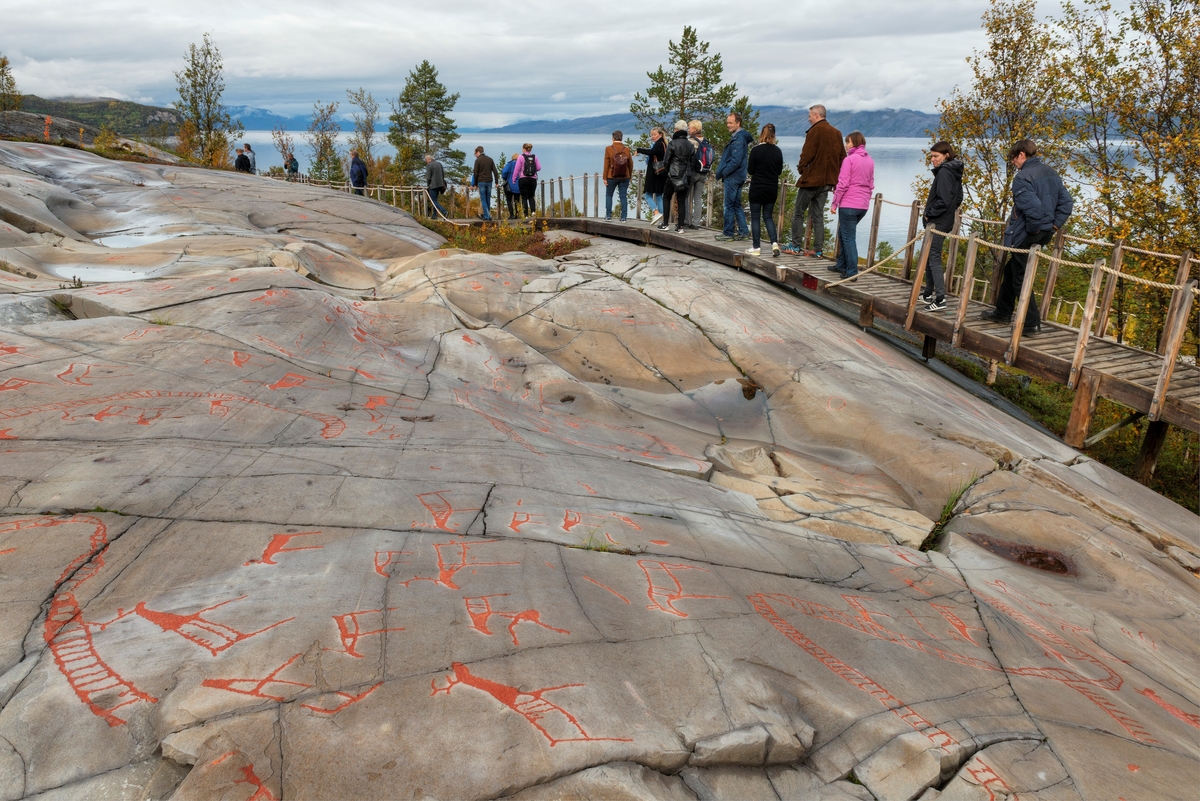 Fra helleristningsfeltet ved Jiebmaluokta eller Hjemmeluft i Alta kommune i Finnmark.  Fotografiet viser ei av bergflatene der man har fjernet vegetasjon og humus for å kunne avdekke forhistoriske ristninger – prikkhogde figurer – i berget.  Dette arbeidet startet etter at de første figurene ble oppdaget i skrått kveldslys under ei rotvelte i 1970-åra.  Seinere er det påvist over 2 000 slike figurer på denne lokaliteten, noe som sammen med andre funn i samme region har gjort Alta til det hittil største funnstedet for slike kulturminner etter fortidige veidekulturer i Norge og Nord-Europa.  Motivene er i hovedsak store dyr fra den faunaen som fantes her da ristningene ble skapt – rein, elg og bjørn, samt en del fugler og fisker.  Det finnes også menneskeskikkelser, båter og en del andre figurer som det er vanskelig å identifisere, og som følgelig ofte omtales under fellesbetegnelsen «geometriske figurer».  I forgrunnen på bergflata på dette fotografiet ser vi rein og båtfigurer.  Fotografiet viser ellers hvordan helleristningsfeltene er tilrettelagt for publikum, som får betrakte helleristningene fra gangbruer av tre, men ikke tråkke fritt rundt på bergflatene.  Dette er gjort for å beskytte figurene for skader fra lokal menneskelig aktivitet.  Dette er imidlertid ikke den eneste trusselen disse kulturminnene utsettes for.  Man har konstatert at figurene på avdekkete helleristningsfelt trues av forvitringsprosesser som følge av at vann trenger inn i overflata og vasker ut mineraler, samtidig som stadige vekslinger mellom pluss- og minusgrader i bergets sårbare yttersjikt innebærer frostsprenging.  Stadig mer luftforurensning fra menneskelig virksomhet langt fra bergkunstlokalitetene antas også å bidra til nedbryting av helleristningsfeltene.  Følgelig har dokumentasjonsprosedyrer og skadeavbøtende tiltak i form av skjerming og konservering blitt temaer i kulturminnevernet. 

Litt mer informasjon om helleristningsfeltet ved Jiebmaluokta eller Hjemmeluft finnes under fanen «Opplysninger».