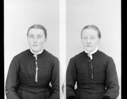 Kvinneportretter, ukjent.