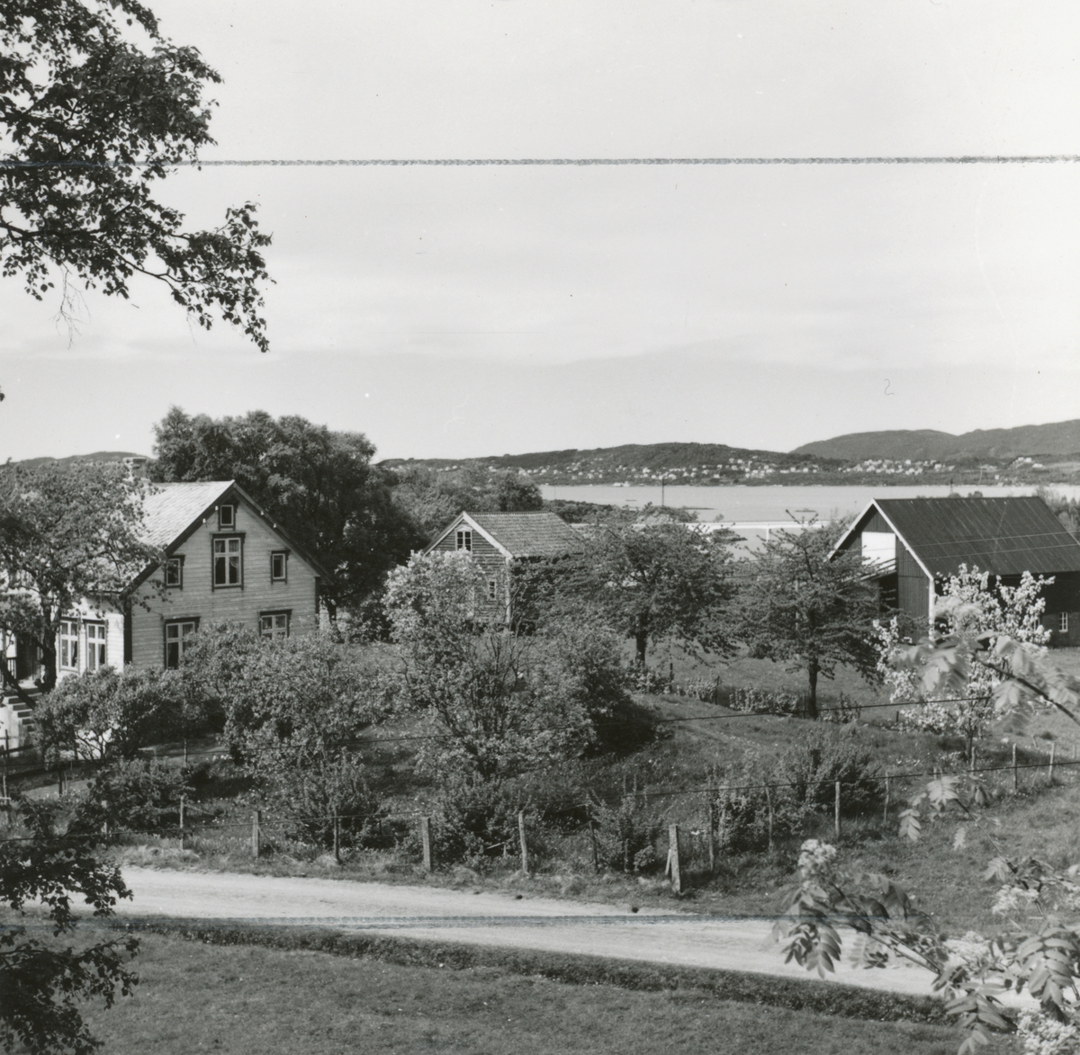 Prospektfotografi av et gårdstun på Vegsund, i bakgrunnen Hatlane.