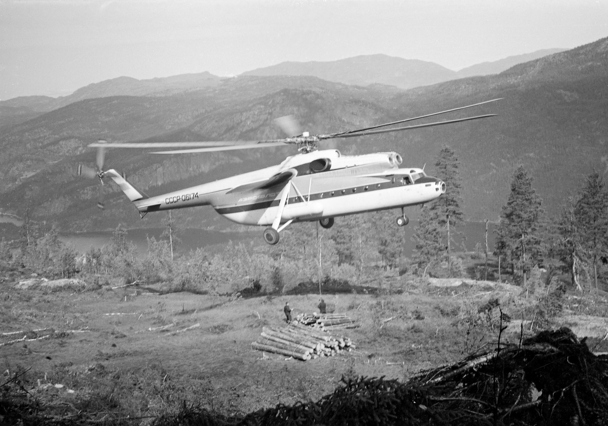 Helikopter av typen MI-6, fotografert under nedstigning mot Kviteseidvatnet i Telemark under forsøk med tømmertransport fra det bratte fjellterrenget sør for Dyreskarnut ned til fløtingsvassdraget.  Fotografiet ble tatt mens maskinen svevde over en tømmerbunt som skulle «stroppes» til en krok i ei line under maskinen.  MI-6 var i midten av 1960-åra verdens største helikopter.  Helikopterkroppen var 33,2 meter lang og rotorbladene spente over en diameter på 35 meter.  Maskinen veide 40,5 tonn og kunne i tillegg frakte 12 tonn nyttelast i et romslig, men enkelt utstyrt lasterom.  MI-6 hadde to kraftige gassturbinmotorer, som til sammen kunne utvikle 11 000 hestekrefter med et drivstofforbruk på 3 500 – 4 000 liter i timen.  I Kviteseid ble maskinen testet på henting av buntet tømmer fra den nevnte lokaliteten sør for Dyrskarnut, 4 860 meter fra og 390 meter høyere enn slippstedet i Kviteseidvatnet.  Tømmeret på hogstfeltet var på forhånd samlet i bunter med drøyt 5 tonns vekt og gjennomsnittlig 8,5 kubikkmeters volum (fastmasse).  Buntene ble hengt under helikopteret i cirka 10 meter lange bærestropper.  Konklusjonen fra disse undersøkelsene ble at kostnadsbildet minte om det man hadde hatt da man et par år tidligere hentet noe tømmer fra en annen lokalitet i området med et noe mindre helikopter et par år tidligere.  Den store russiske maskinen kunne riktignok ta noe større bunter, men på kløftet, blokkrik mark som her innebar det tidkrevende manuelt slit å samle store tømmerbunter.  «Selv om selve helikoptertransporten blir noe billigere med en større maskin, vil de øvrige kostnader bli noe høyere», skrev forsøkslederen, professor Ivar Samset (1918-2015).  Det han ikke skrev, men erfarte, var at helikoptertransport av tømmer var tapsbringende.  Driftskostnadene knyttet til arbeidet på hogstfeltet og bruken av helikopteret oversteg tømmerets omsetningsverdi.  Mer informasjon om forsøkene med helikoptertransport av tømmer fra vanskelig terreng finnes under fanen «Opplysninger».