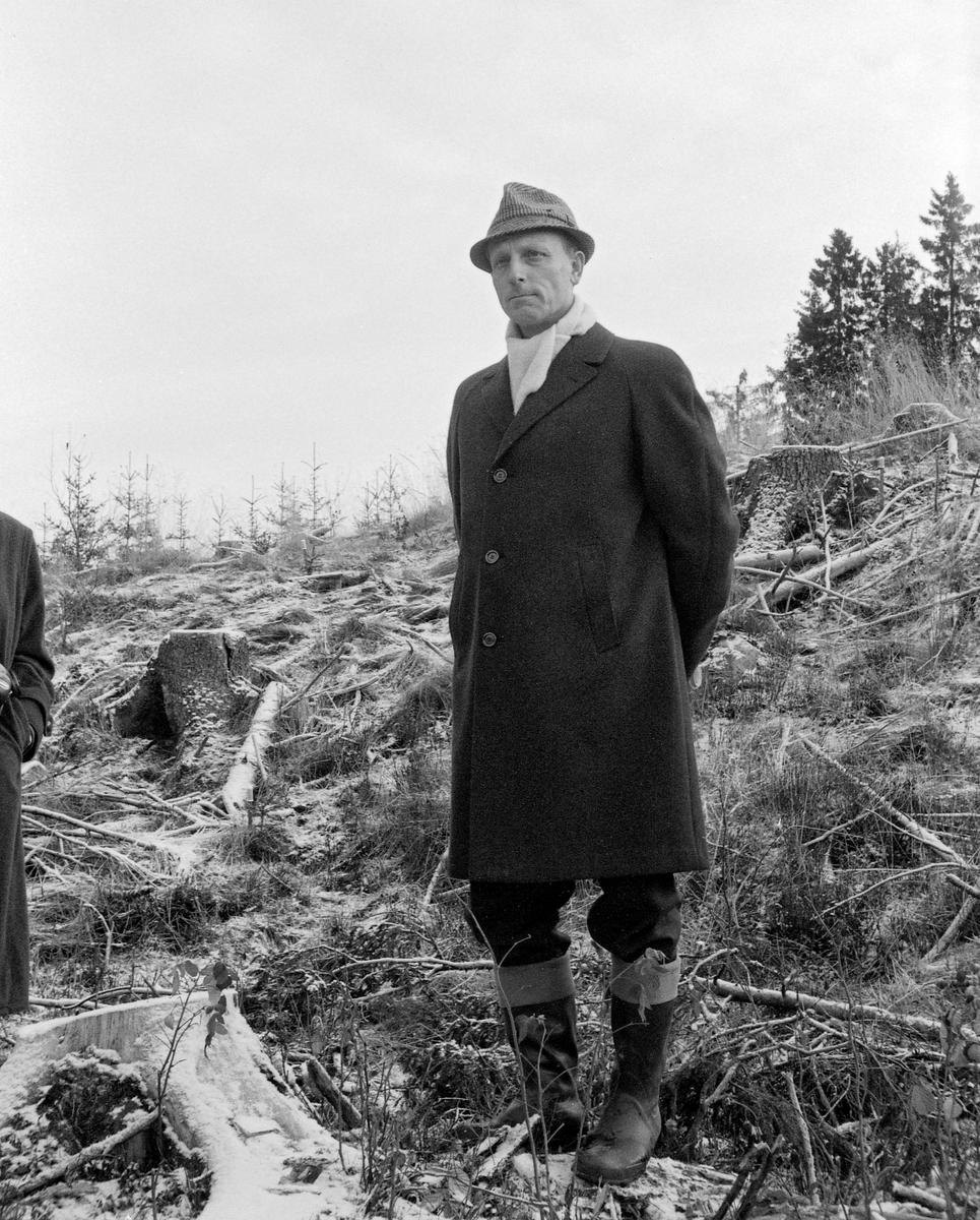 Professor Ivar Samset (1918-2015), fotografert under en omvisning i Hurdal prestegardsskog i forbindelse med åpningen av forskningssenteret «Silvifuturum» den 16. november 1965.  Samset er fotografert på ei hogstflate.  Han var kledd i mørk vinterfrakk og nikkersbukser.  Han hadde et lyst skjerf i halsen, hatt på hodet og gummistøvler på beina.  Bildet er sannsynligvis tatt på et tidspunkt da han gjorde seg klar til å fortelle om forsøk den driftstekniske avdelingen i Det norske Skogforsøksvesen hadde gjort på nettopp denne lokaliteten.

Ivar Samset var født i Skien, der faren John Samset var skogforvalter i Grenland skogforvaltning.  Gjennom å følge faren på en del av hans befaringer fikk unge Ivar et nært forhold til skogen og skogbruket som fagområde.  Etter examen artium i 1938 hadde han praksis i Treschow-Fritzøes skoger i Siljan, før han fikk plass som elev ved skogskolen på Kongsberg.  Derfra bar det videre til Norges Landbrukshøgskole på Ås, der han avla en meget god eksamen i 1944, etter å ha skrevet hovedoppgave om bøkeskogene i Vestfold.  Den unge forstkandidaten Ivar Samset ble han ansatt som skogbrukslærer ved Buskerud landbruksskole. Daværende skogdirektør Karenus Sørhuus hadde imidlertid hørt om Samset, og visste at han var minst like interessert i teknologi som i bøkeskogens biologi. Sørhuus ordnet det slik at Samset fikk studere ved Norges tekniske høgskole i Trondheim. Skogdirektøren skal ha tiltenkt den evnerike unge mannen en posisjon i et jord- og skogbruksteknisk institutt han arbeidet for å få etablert i Oslo-området. Lederen i Det norske Skogforsøksvesen kom ham imidlertid i forkjøpet, og tilbød Samset en stilling som forsøksleder i en nyopprettet avdeling for driftstekniske undersøkelser under denne organisatoriske paraplyen. Samset oppfattet aktørene i skogbruket som grunnleggende konservative.  Dette skal ha vært bakgrunnen for at han innledet sine undersøkelser med studier av manuell hogst og av transportredskaper med hest som trekkraft.  I 1950 fikk Samset anledning til å reise et helt år for å studere skogbrukets driftsteknikk i Nord-Amerika. Han vendte tilbake med mange impulser, særlig fra det canadiske storskogbruket, som han etter hjemkomsten til Norge forsøkte å tilpasse det norske bondeskogbrukets vilkår. Også i åra som fulgte reiste han mye og kom begeistret hjem med idéer som han ville tilpasse norske forhold. Noen impulser gikk også den andre vegen, fra Samset og hans institutt til andre lands skogbruk. Samset høste mye anerkjennelse for sitt arbeid. Han sto blant annet sentralt i et omfattende samarbeid med det greske skogbruket. Samset var også en profilert aktør i IUFRO – International Union of Forest Reseach Organizations. I 1971 ble han valgt til president i IUFRO, et tillitsverv Samset hadde i fem år.   Det siste året, i 1976, fikk han gleden av å være vert for en verdenskongress som samlet om lag 2 000 skogbrukere i Oslo. Også hjemme høstet Samset mye heder og anerkjennelse.  I 1956 fikk han professortittel, og med den fulgte også en sentral posisjon i det skogfaglige miljøet ved Norges landbrukshøgskole. Et grunnleggende premiss for Samsets arbeid var hans oppfatning om at det norske skogbruket og den norske skogindustrien var under press, både i et hjemmemiljø med stadig stigende lønnskostnader og et stadig mer globalisert marked for skog- og tømmerprodukter med voksende prispress. Samset så det som sin og det driftestekniske forskningsmiljøets fremste oppgaver å være serviceorgan for aktørene i skogbruket i en slik situasjon.  Han mente at teknoøkonomiske framskritt var en forutsetning for at skogsektoren skulle greie seg i den konkurransen den ble stadig mer eksponert for, og hadde liten forståelse for at bevilgningene tll virksomheten han ledet ikke var så store som han kunne ha ønsket. Samsets pågående, engasjerte personlighet og hans åpenbare faglige dyktighet bidro likevel til at driftsteknikk i de første tiåra etter 2. verdenskrig var ett av de aktivitetsfeltene i skogbruket det ble investert mest i.  Samset var kjent for å ha en autoritær lederstil. «Hans diplomatiske evner er forholdsvis svakt utviklet» uttalte Oluf Aalde, som først stiftet bekjentskap med den fargerike professoren som student, deretter som medarbeider i Det norske Skogforsøksvesen, og seinere møtte ham igjen fra ulike posisjoner i det statlige skogbyråkratiet. Samset var overbevist om den driftstekniske forskningens og sin egen store betydning. Han kunne være skarp, kritisk og provoserende, noe som virket belastende på en del samarbeidsrealsjoner. På den annen side høstet han stor beundring for sin faglige dyktighet og sitt voldsomme engasjement for fagfeltet sitt og skogbruket som næring. Ivar Samset videreførte dette engasjementet også etter at han ble pensjonist.  På sine eldre dager skrev han to sjølbiografiske bøker, «Storm gjennom skogene» (2003) og «Fra muskler til maskiner i skogen» (2008), basert på et omfattende dagbokmateriale fra et uvanlig aktivt liv i skogbrukets tjeneste.