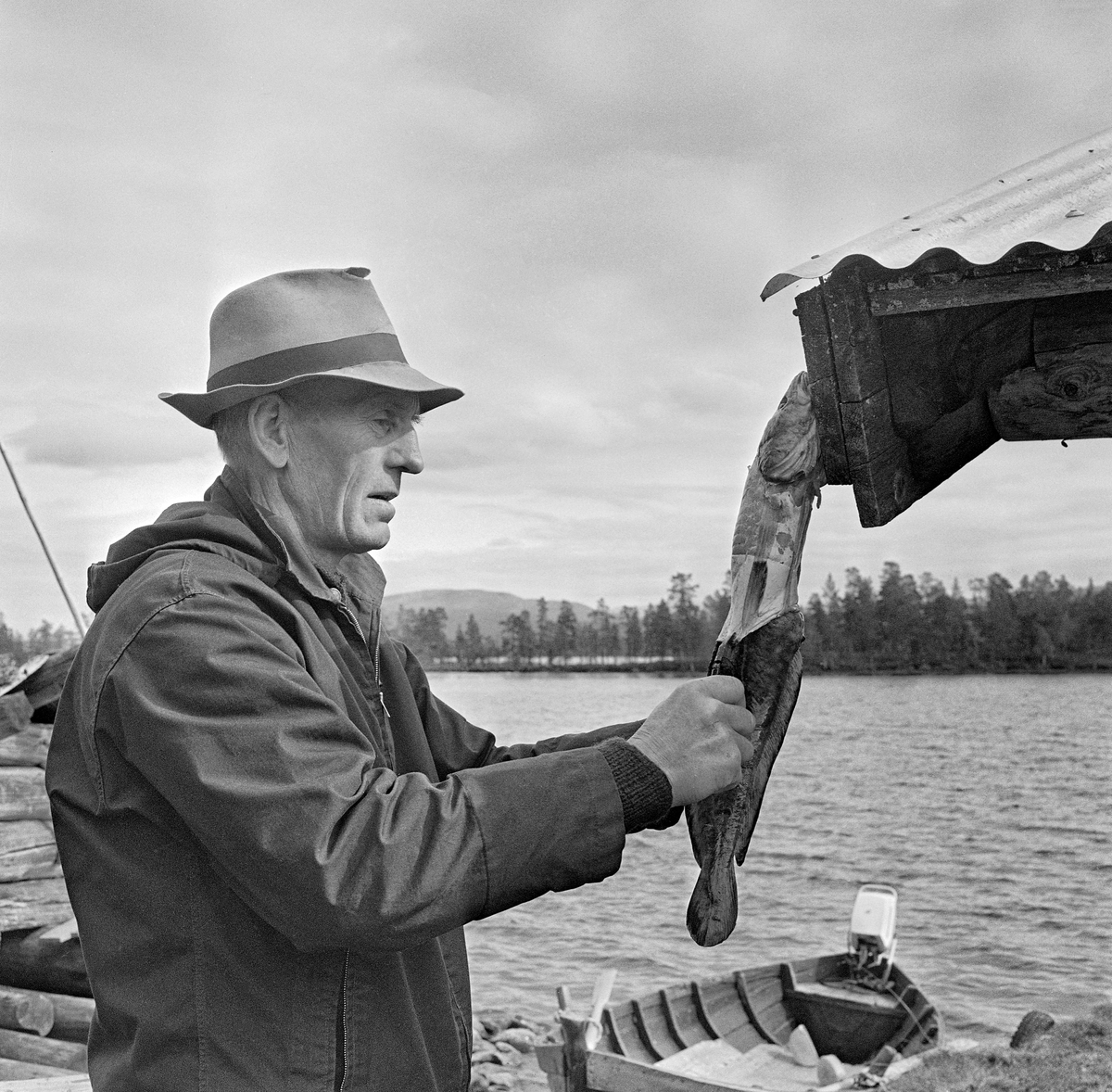 Martin Brøten (1907-1991), fotografert på innlandsfiskeværet Hauksetvollen i Engerdal i Hedmark i 1970.  Brøten hadde anorakk på overkroppen og en grå filthatt med svart bånd på hodet.  Da dette bildet ble tatt var han i ferd med å trekke skinnet av en lake (Lota lota) som ha hadde fisket i innsjøen Isteren.  Han hadde spikret hodet på fisken fast til den nedre enden av vindskia på en lav bygning og snittet skinnet ved hodet, for deretter å kunne dra det nedover mot halen.  Under fisken skimter vi trebåten med påhengsmotor som Brøten brukte under fisket.  Han var født på Haukåmotrøen i Øvre Rendal, i et miljø der folk i mange generasjoner hadde drevet sesongfiske i Isteren.