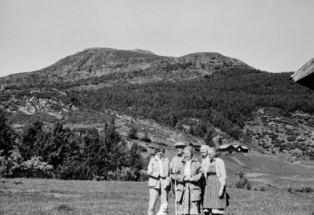 Fra setra til garden Søre Kvam i Vang i Valdres, Hugastølen.  Fotografiet er tatt på setervollen med ei familiegruppe på fem personer i forgrunnen.  I mellomgrunnen ser vi ei tilstøtende seter, med bu-, løe- og fjøsbygninger.  Bakgrunnen preges av et høgdedrag, antakelig Hesthovdane.  I lia nærmest setervangen var det et beitelandskap med en del einerbusker. Ovenfor var det et bjørkeskogsbelte, mens den øverste delen av fjellet lå om lag 1 000 meter over havet og derfor hadde svært lite trevegetasjon.

Våren 2024 fikk Norsk skogmuseum denne kommentaren til dette fotografiet fra Anne Marit Framnes: «Hugastølen under Hugakøllin?»
