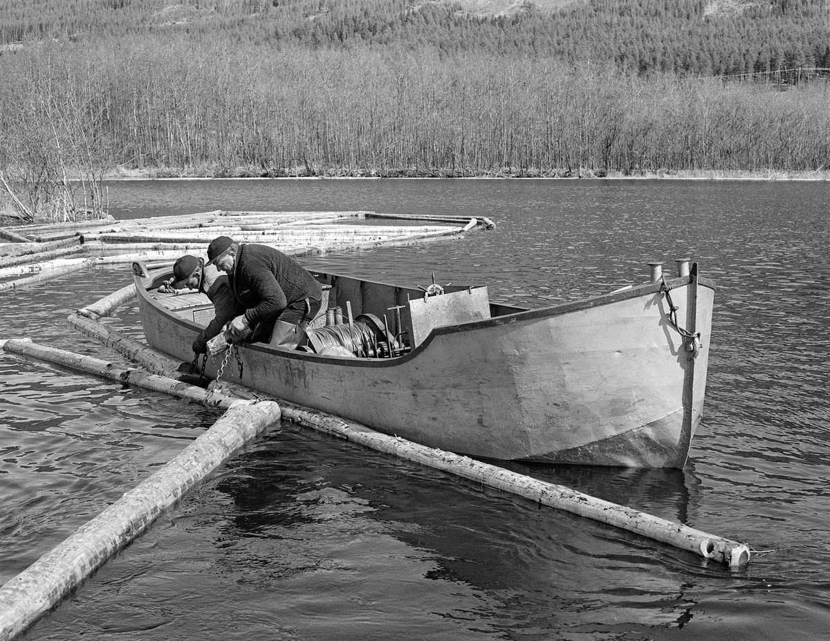 Kopling av lensestokker til ringbom i Lomnessjøen i første halvdel av 1980-åra.  Arbeidet ble utført av Ola Stubsveen (1924-1998) og Harald Hansen (1926-1999) fra en av Glomma fellesfløtingsforenings varpebåter.  Disse små stålfartøyene med innvendig dieselmotor ble brukt til å slepe tømmer i ringbommer fra Hornsetlensa i nordenden av innsjøen cirka ti kilometer sørover mot Kvernnesodden, der bommene ble åpnet, slik at tømmeret kunne flyte løst gjennom den nedenforliggende Åkrestrømmen.