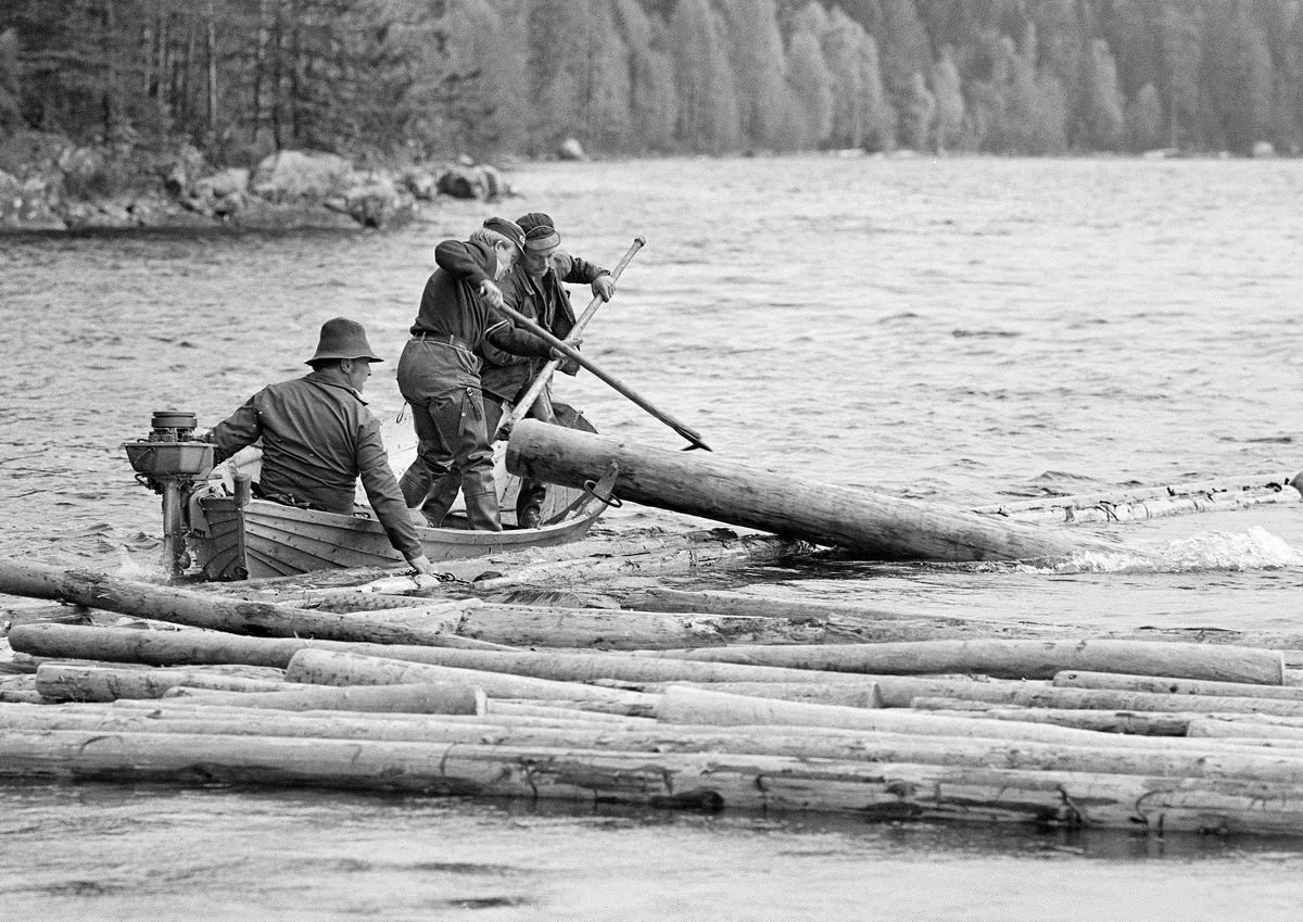 «Sluttrensk» av fløtingstømmer langs strendene på Storsjøen i Ytre Rendalen våren 1984.  Tømmerstokker som hadde sklidd ut av lenser eller ringbommer og lå og fløt fritt i sjøen ble samlet opp fra de små trebåtene Glomma fellesfløtingsforening disponerte.  I dette tilfellet ble det brukt en «Flisa-båt», lagd i organisasjonens eget båtbyggeri i Solør.  Karene på dette bildet er Per Sindre Nyberget, som manøvrerte båten fra en sittende posisjon ved påhengsmotoren akterut, mens Joar Brennodden og Knut Lomnes skjøv en våt og tung stokk fra en posisjon på tvers av båten (fra ripe til ripe) over i en ventende ringbom ved hjelp av fløterhakene sine.