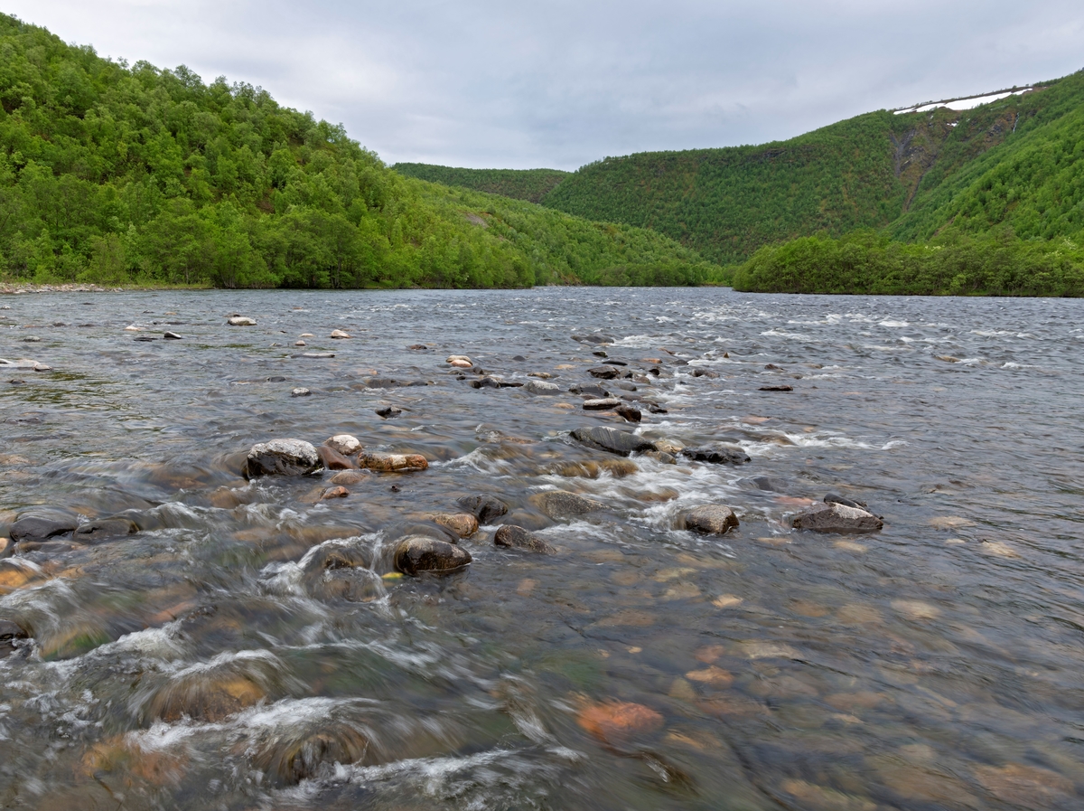 Altaelva i Sautso, fotografert oppstrøms rett nedenfor der hvor vannet fra Alta kraftverk tilbakeføres til Altaelva. Alta, Finnmark. Alta Canyon.