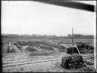 Odlingsbäddar vid spårområde, eventuellt för sockerbetor, Malmö.