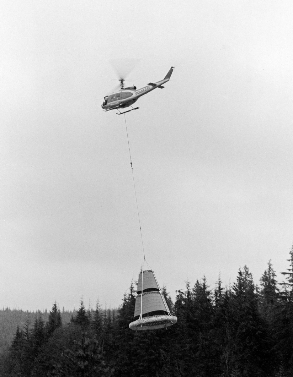 Konglesankingsapparat, fotografert hengende under et helikopter over en canadisk granskog høsten 1978. Apparatet kvilte på fire metallstenger som var montert slik at de lutet noe mot hverandre uten å møtes i toppendene.  Mellom disse stengene eller føttene var det innsatt tre ringformete krager, påmontert metallelementer som skrådde utover, og som var festet med mellomliggende spalteåpninger.  Dette apparatet var lagd med sikte på at det skulle senkes langsomt ned over konglebærende trær.  Når helikopteret deretter steg rett til værs igjen, ville de nevnte metallelementene med mellomliggende spiler «kjemme» konglene av trærne, slik at de falt ned i et underliggende oppsamlingsseil før de var modne og hadde begynt å kaste frø.  På denne måten kunne man sanke kongler til skogbrukets frøproduksjon uten å måtte gjøre farefulle klatreturer eller ty til felling av trærne.