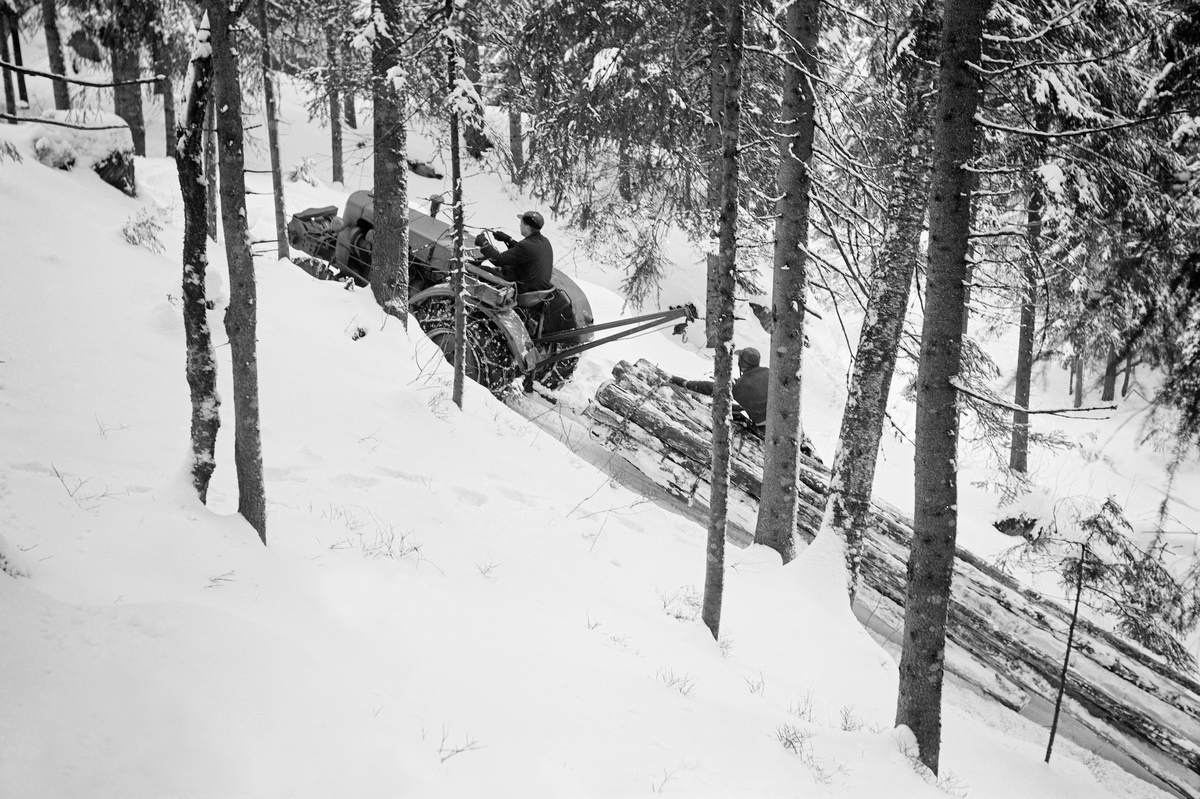 Traktor med rustning – en todelt slede – med tømmerlass og en totromlet Vinje-vinsj.  Fotografiet er tatt fra en bakkeskråning i glissen granskog.  Traktoren gikk i motbakke, og en mann satt på den fremre delen av tømmerlasset.  Det er grunn til å anta at dette fotografiet ble tatt omkring 1960.  Vi vet ikke hvor opptaket er gjort.