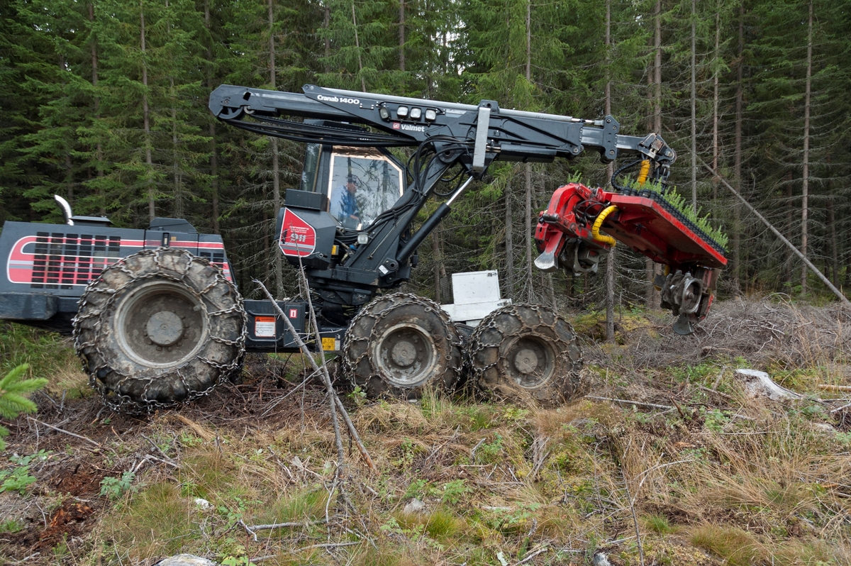 Planteaggregat – en såkalt Eco-Planter 2000 – montert på en skogsmaskin av typen Valmet 911.  Fotografiet ble tatt høsten 2005 på Brøttum i Ringsaker kommune, der firmaet Forest Maskindrift AS fra Eidsvoll hadde påtatt seg planting for et av medlemmene i Mjøsen skog.  Aggregatet veide cirka 1 000 kilo.  På oversida hadde det et todelt bord med til sammen 240 plasthylser som maskinføreren fylte med planter før han startet arbeidet.  Hylsemagasinene gikk på et rotasjonsbånd.  I begge ender av bordet, på undersida av aggregatet, var det fresehjul som var bevegelige både i horisontale og vertikale retninger.  Når disse ble aktivert, kastet maskinen opp to små hauger, med ei blanding av humus og mineraljord.   Dersom det viste seg å være stein eller kraftige røtter på de valgte plantepunktene, kunne maskinføreren avbryte prosessen og flytte litt på aggregatet.  Etter at vellykket fresing var gjennomført, ble planter fra hylsene presset ned i jordhaugene ved hjelp av trykkluft.  De måtte settes ganske djupt om de skulle få god nok tilgang på fuktighet.  Plantematerialet måtte derfor ha en viss lengde, minst 17 centimeter, helst over 20 centimeter.  Ved manuelle plantinger var minstekravet til lengden 13 centimeter.  På grunn av kravene til plantelengden ble Eco-Planter 2000 kun brukt til granplanting, furuplantene ble for korte.  Maskinen kunne både ta ordinære pottebrettplanter (M95) og planter som var dyrket fram i Jiffy-potter.  Veksttorva i rotklumpene skulle helst ikke ha utstikkende rottrevler, for med slike kunne de lett hekte seg fast i røret mellom plantebordet og jordhaugen de skulle settes i.  Maskinen greide å plante cirka 300 planter i timen.  12-14 minutter av denne tida ble brukt til å mate hylsene på plantebordene.  Den kvite kassa som var montert på fronten av den rammestyrte maskinen kunne romme om lag et dagsforbruk av planter.