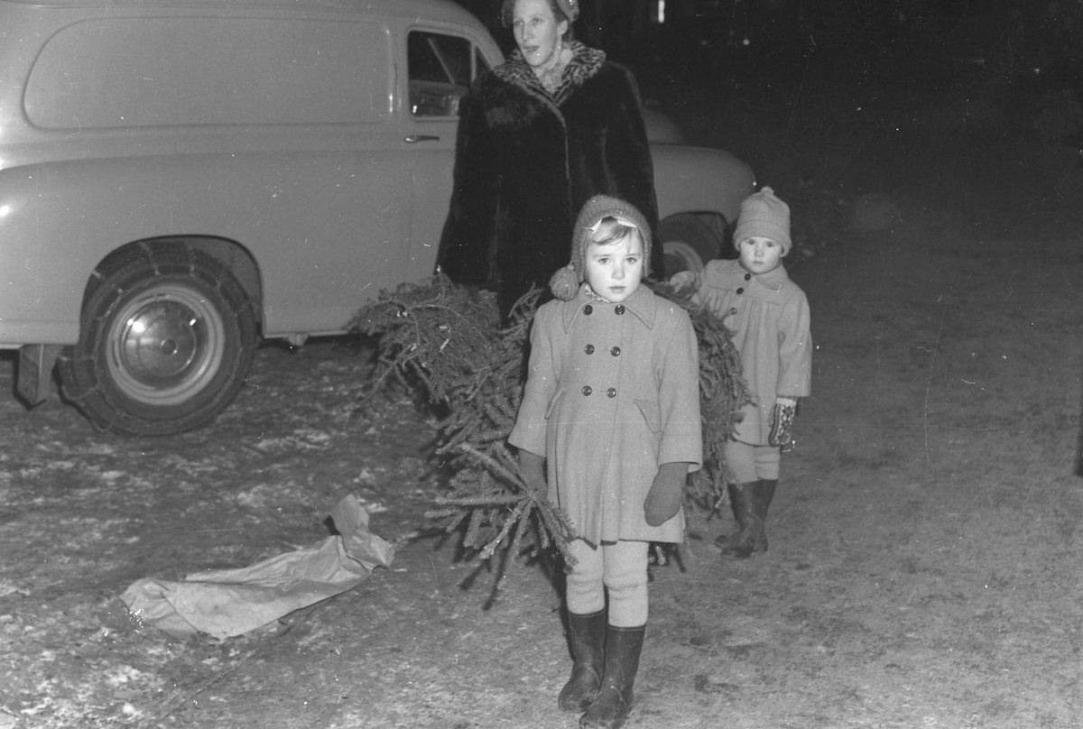 Ann Kristin og Bodil Lie kjøper juletre