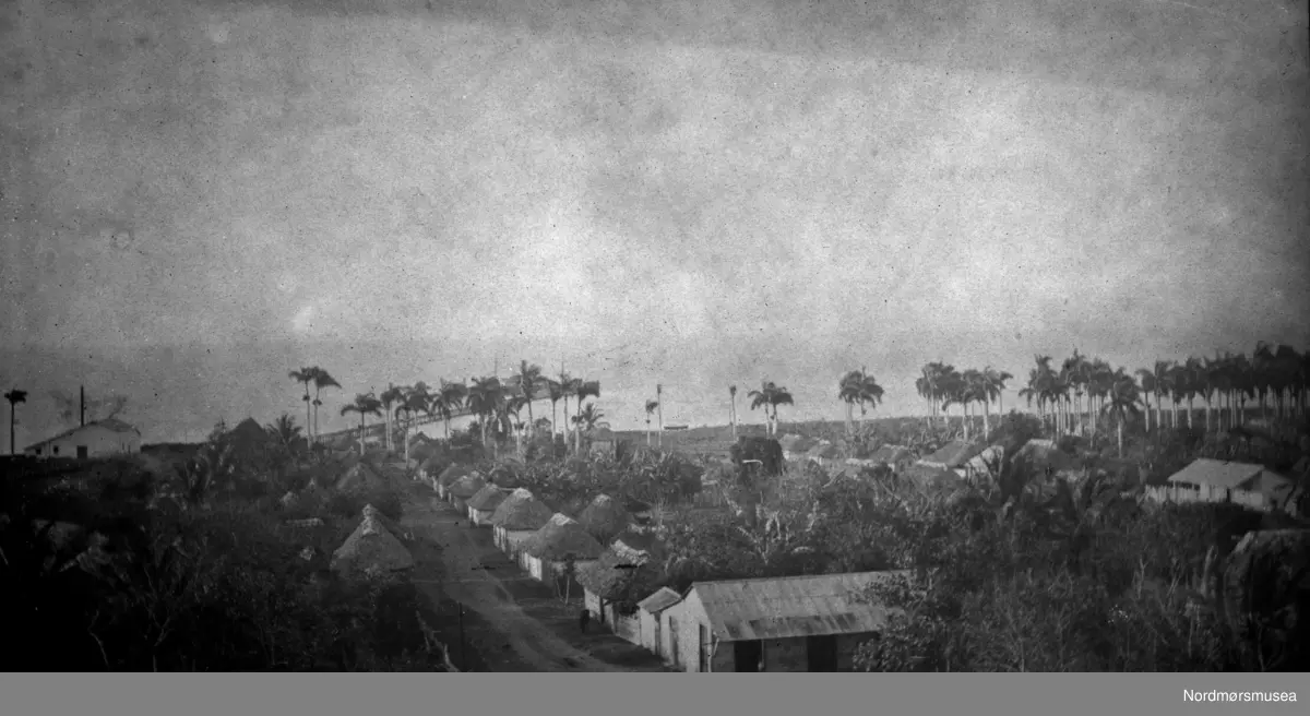 Foto trolig fra Kaptein Paulsens reiser. Antakelig fotografert i Karibien. Datering trolig omkring 1900-1920. Fra Kaptein John Paulsens postkort og private bilder. Fra Nordmøre museums fotosamlinger.