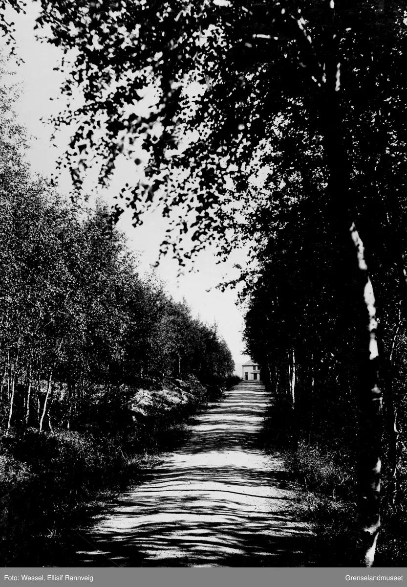 Prestegårdsalleen/Prestegårdsveien i Kirkenes.