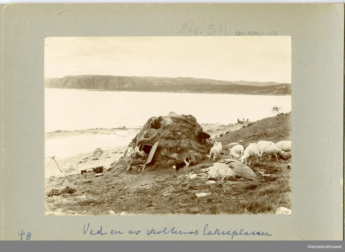 Album med brune permer.