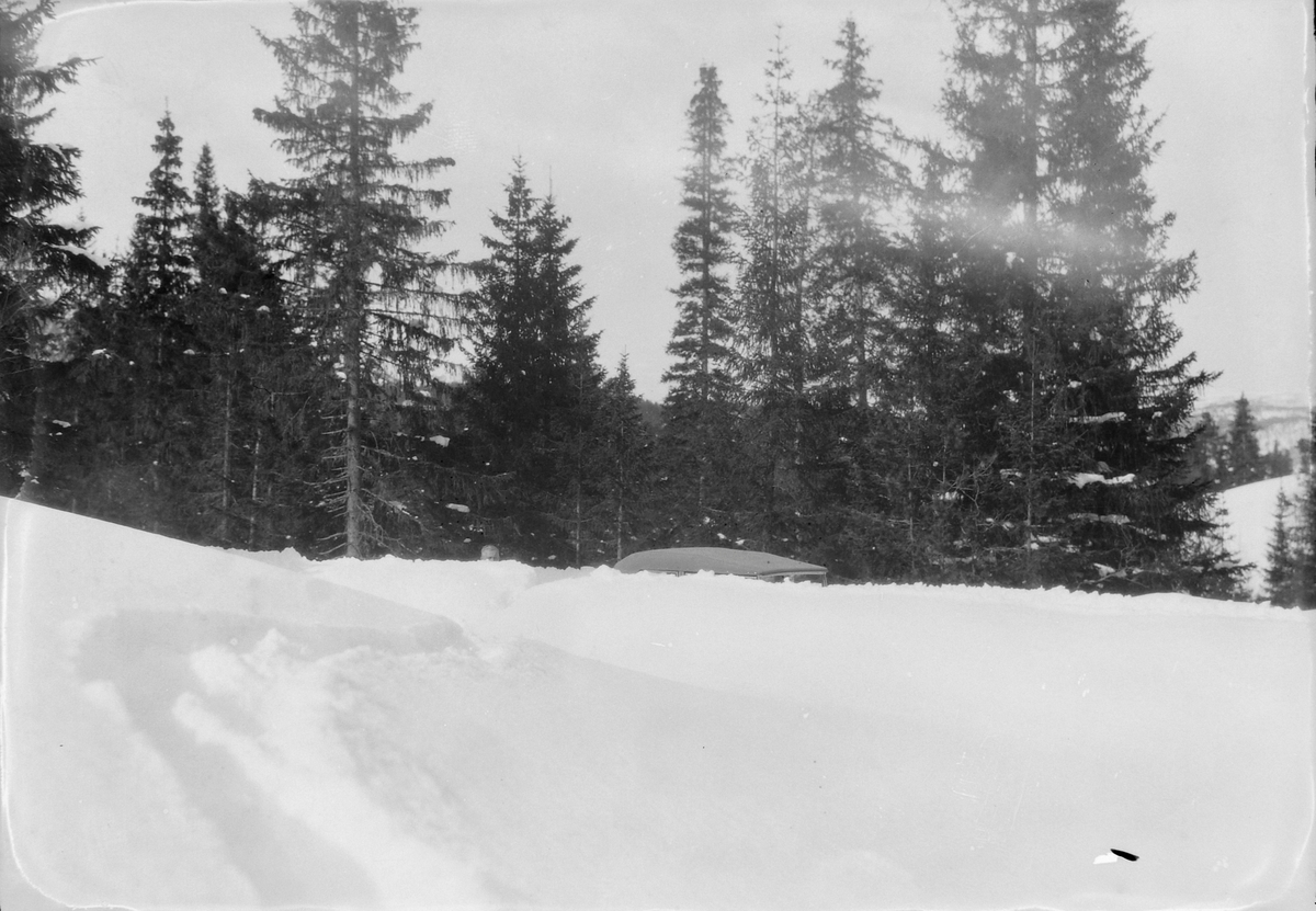 Biltur Støren - Berkåk - Ulsberg på vinterføre